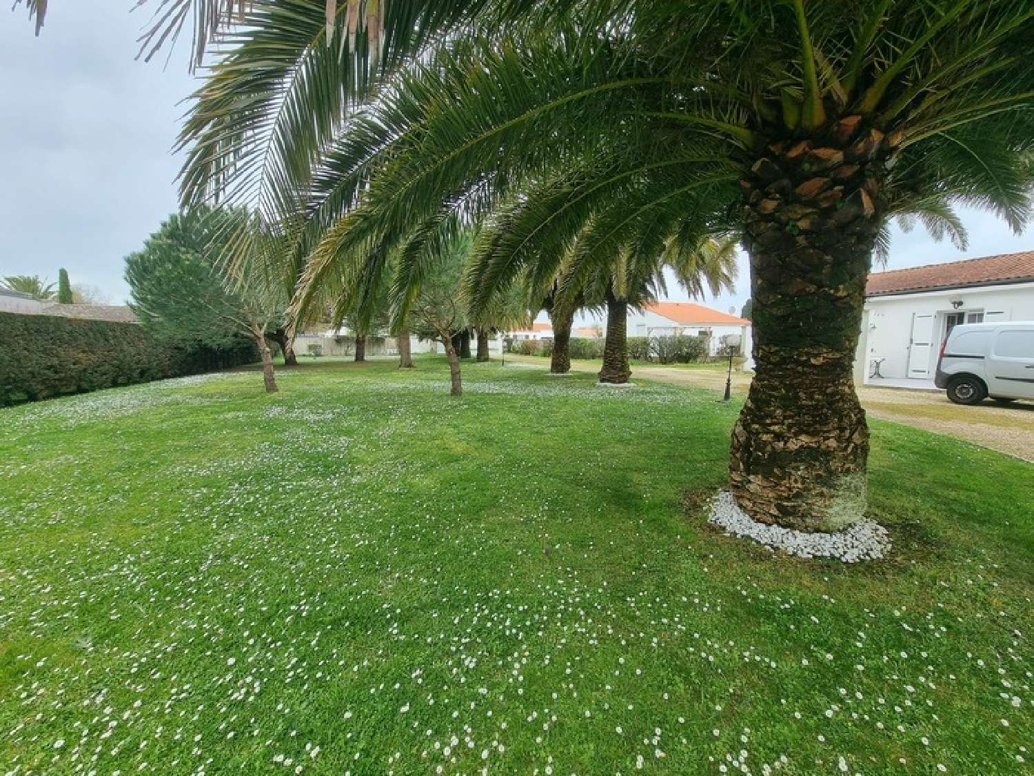  kaufen Haus Le Château-d'Oléron Charente-Maritime 8