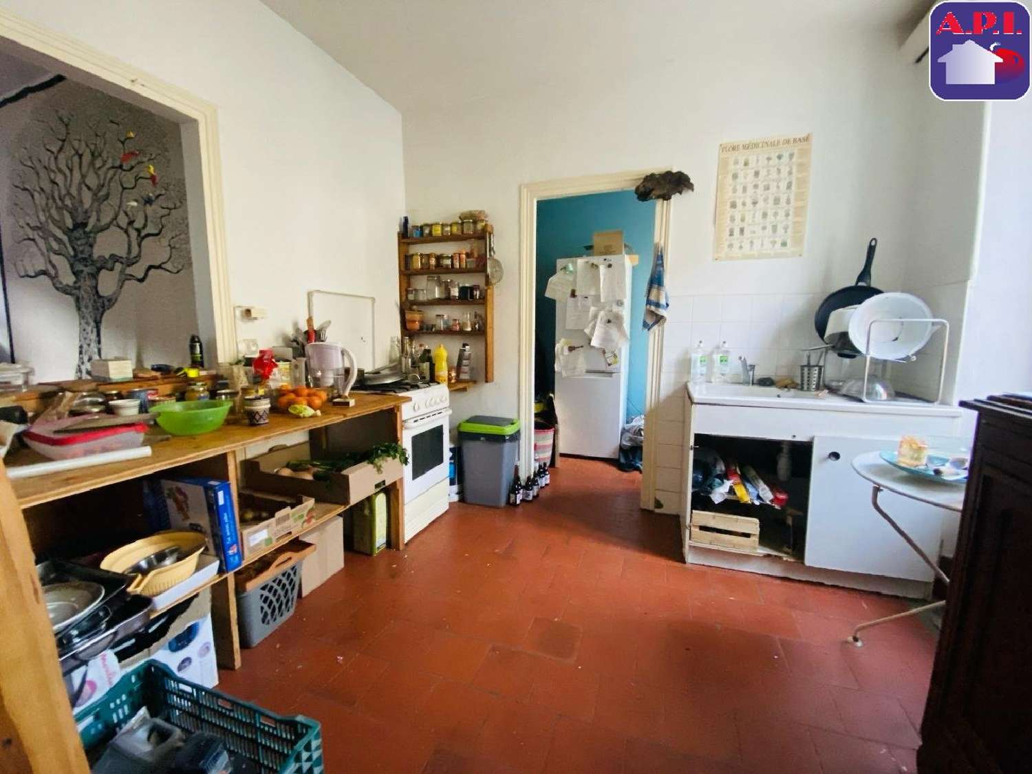  à vendre maison Le Mas-d'Azil Ariège 7