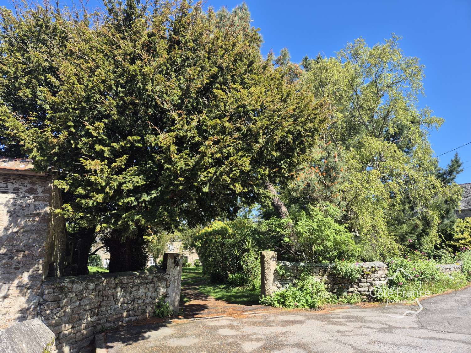  for sale house Le Mesnil-au-Val Manche 6