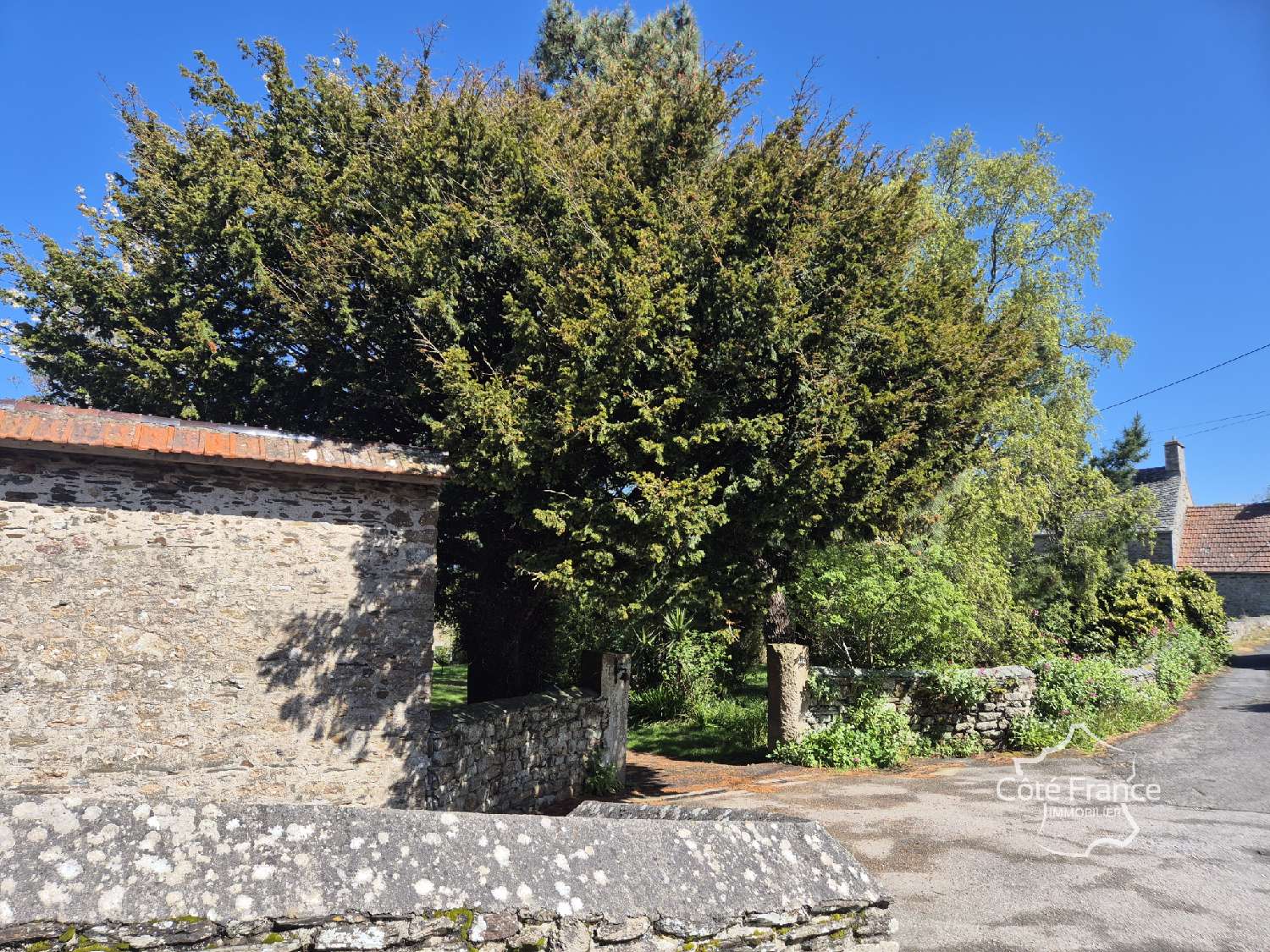  for sale house Le Mesnil-au-Val Manche 7