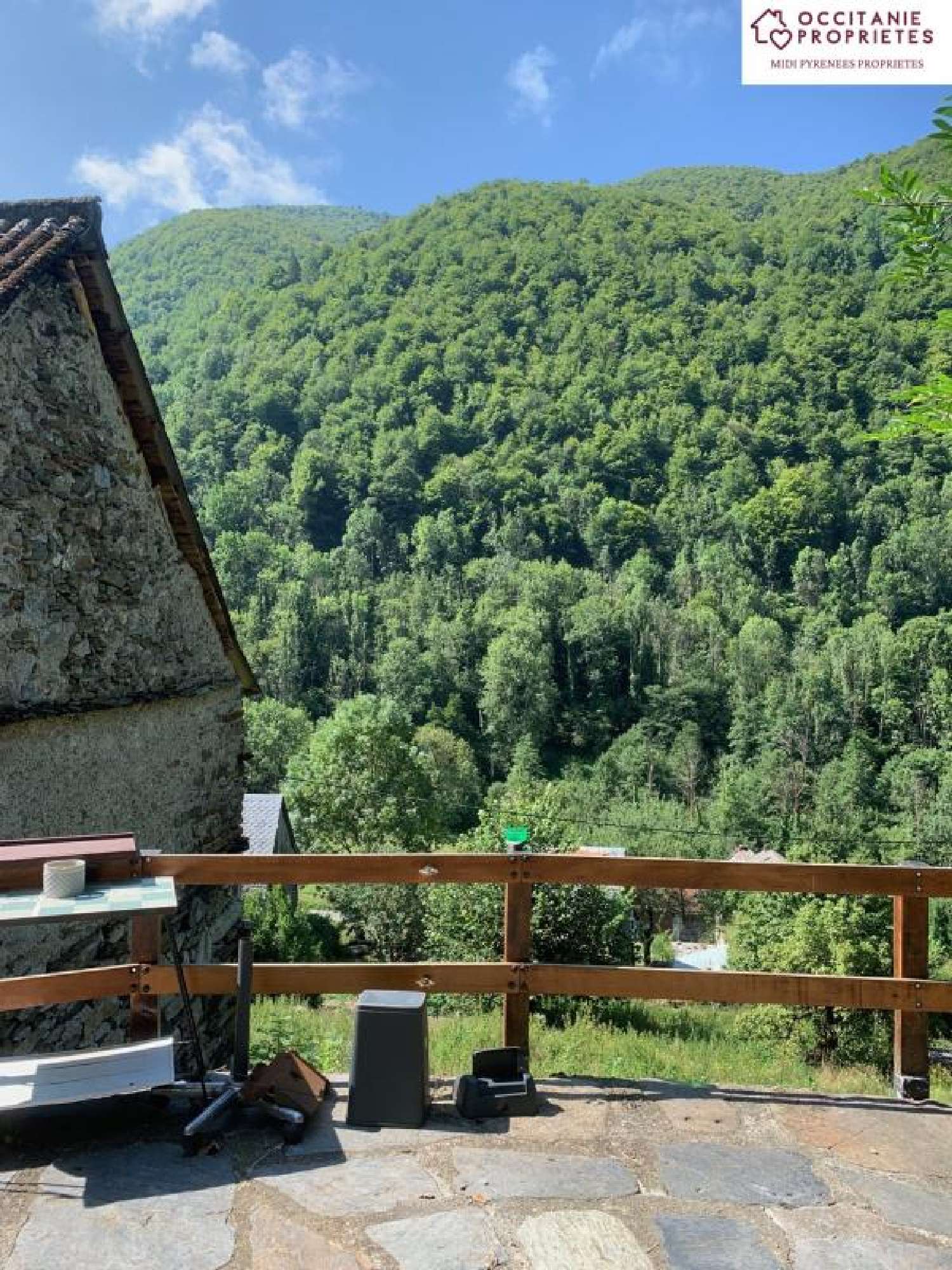  à vendre maison Le Port Ariège 3