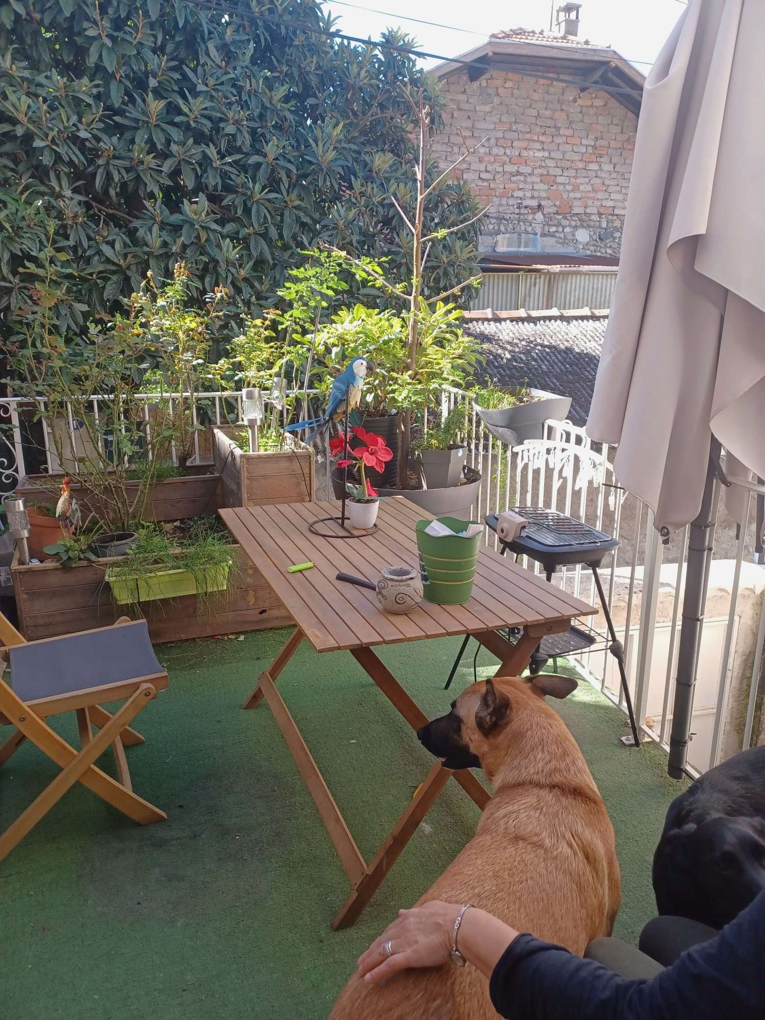  en venta casa Les Mées Alpes-de-Haute-Provence 1