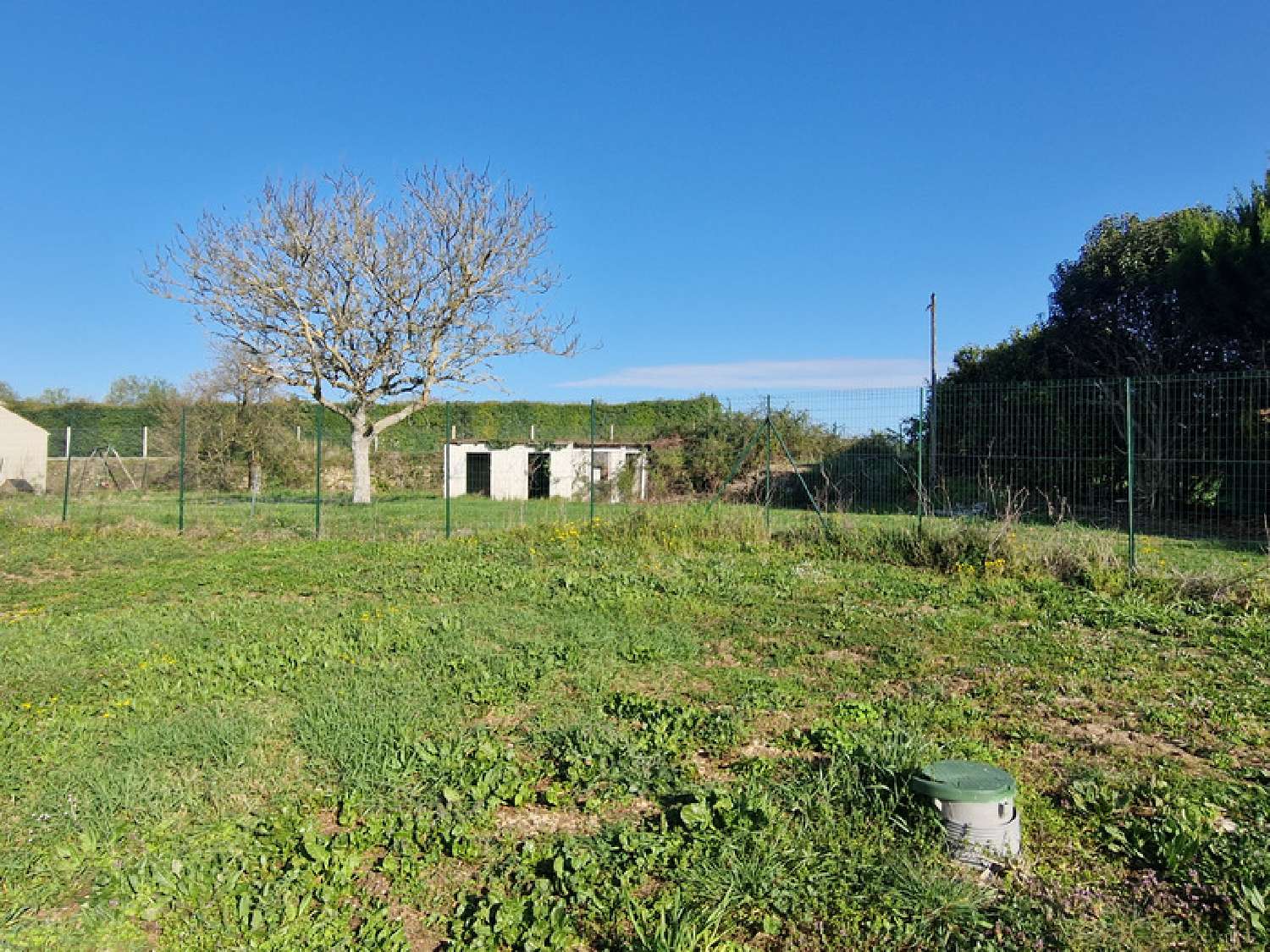  kaufen Haus Les Nouillers Charente-Maritime 7