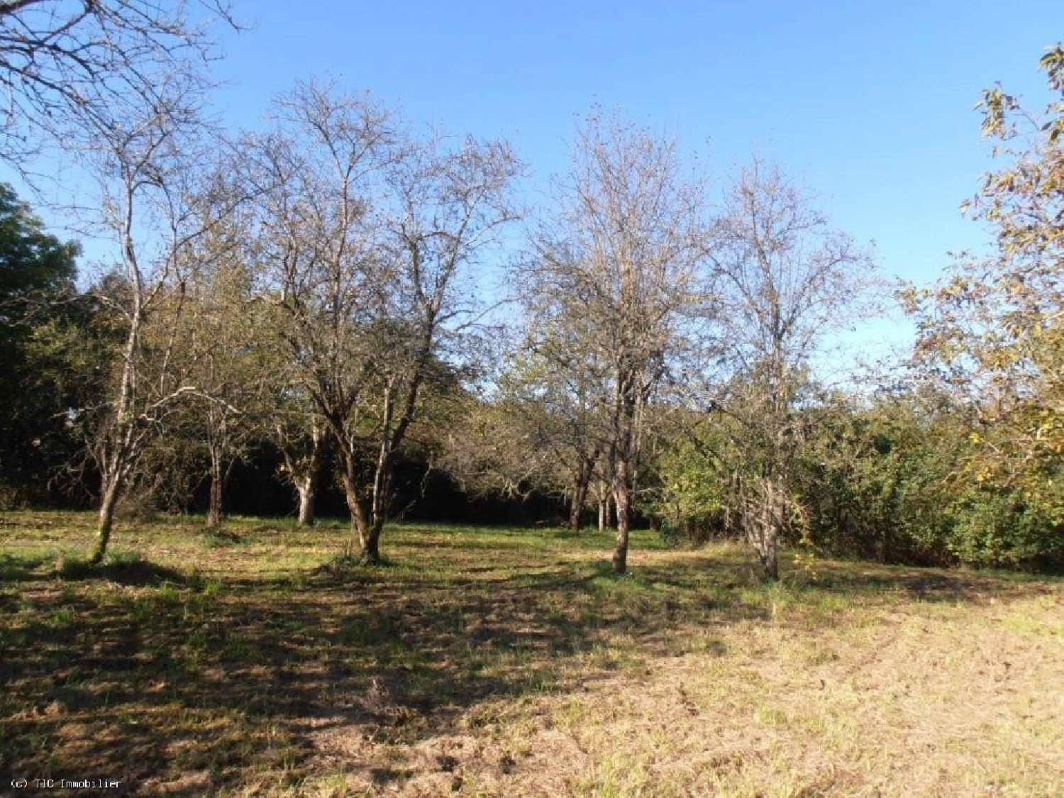 en venta casa Lezay Deux-Sèvres 3