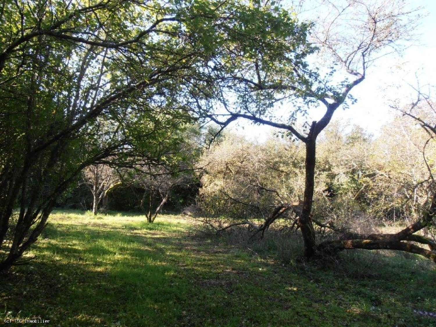  en venta casa Lezay Deux-Sèvres 4