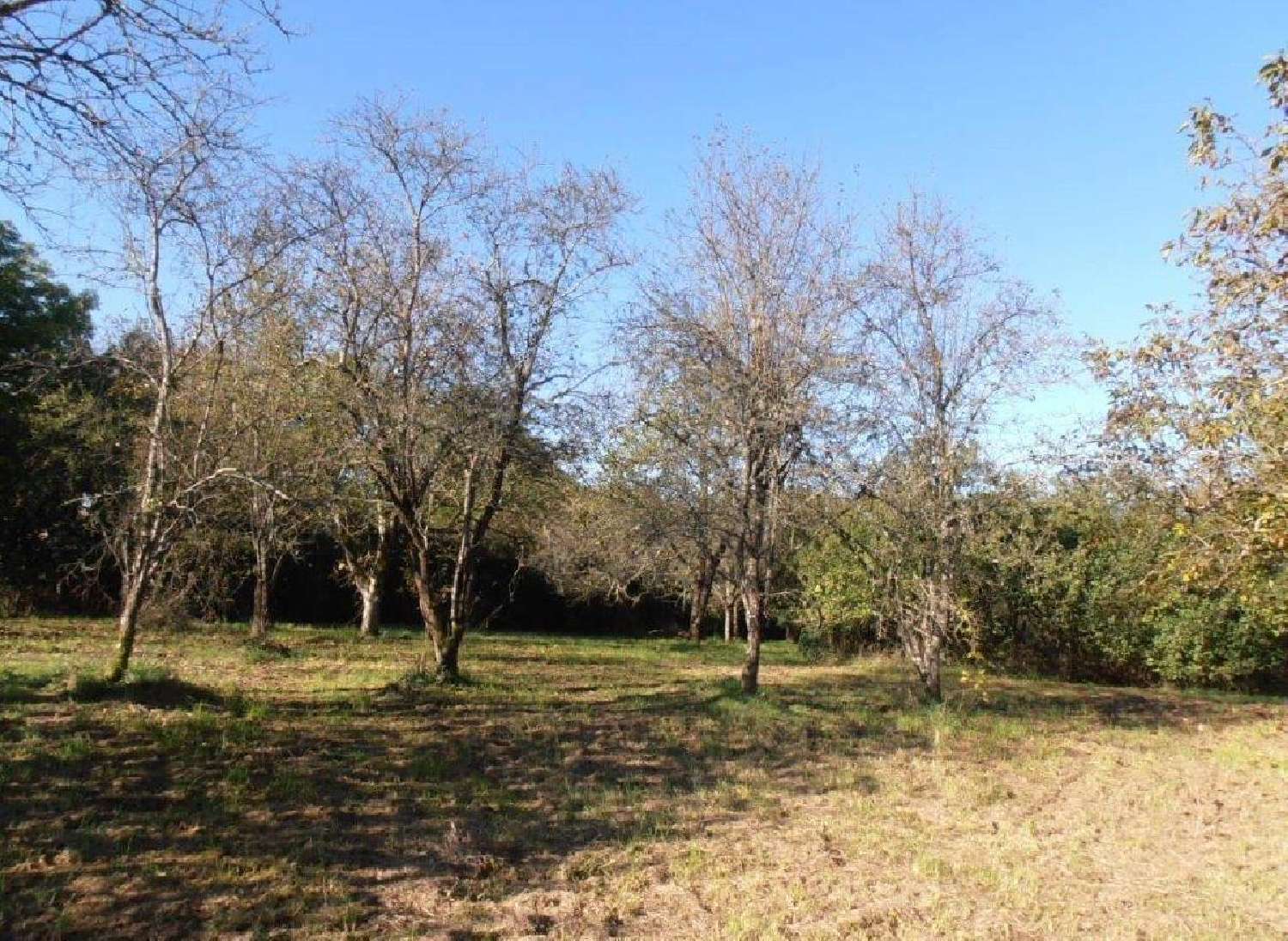 en venta casa Lezay Deux-Sèvres 3
