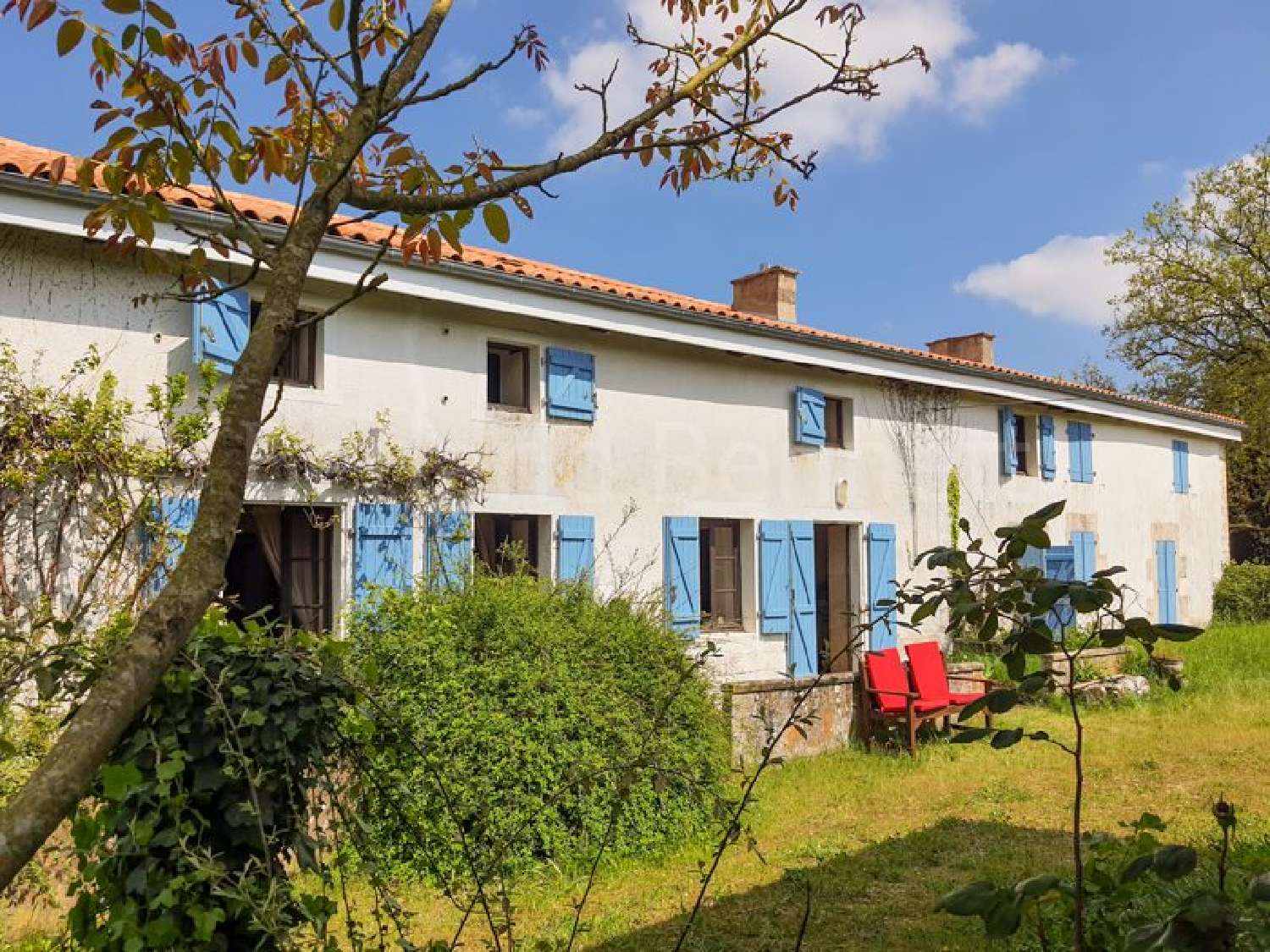  te koop huis Lezay Deux-Sèvres 1