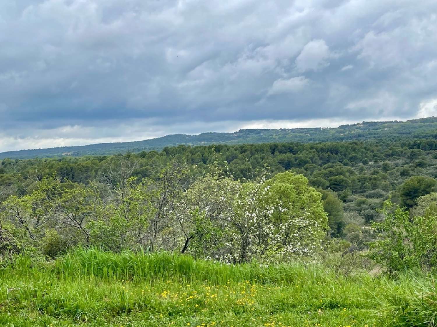  en venta casa Lioux Vaucluse 8