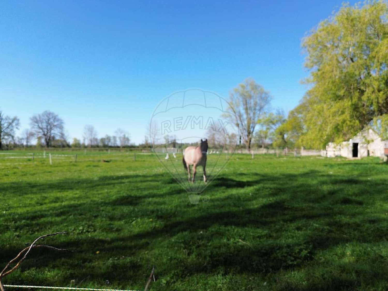  te koop huis Livry Nièvre 4