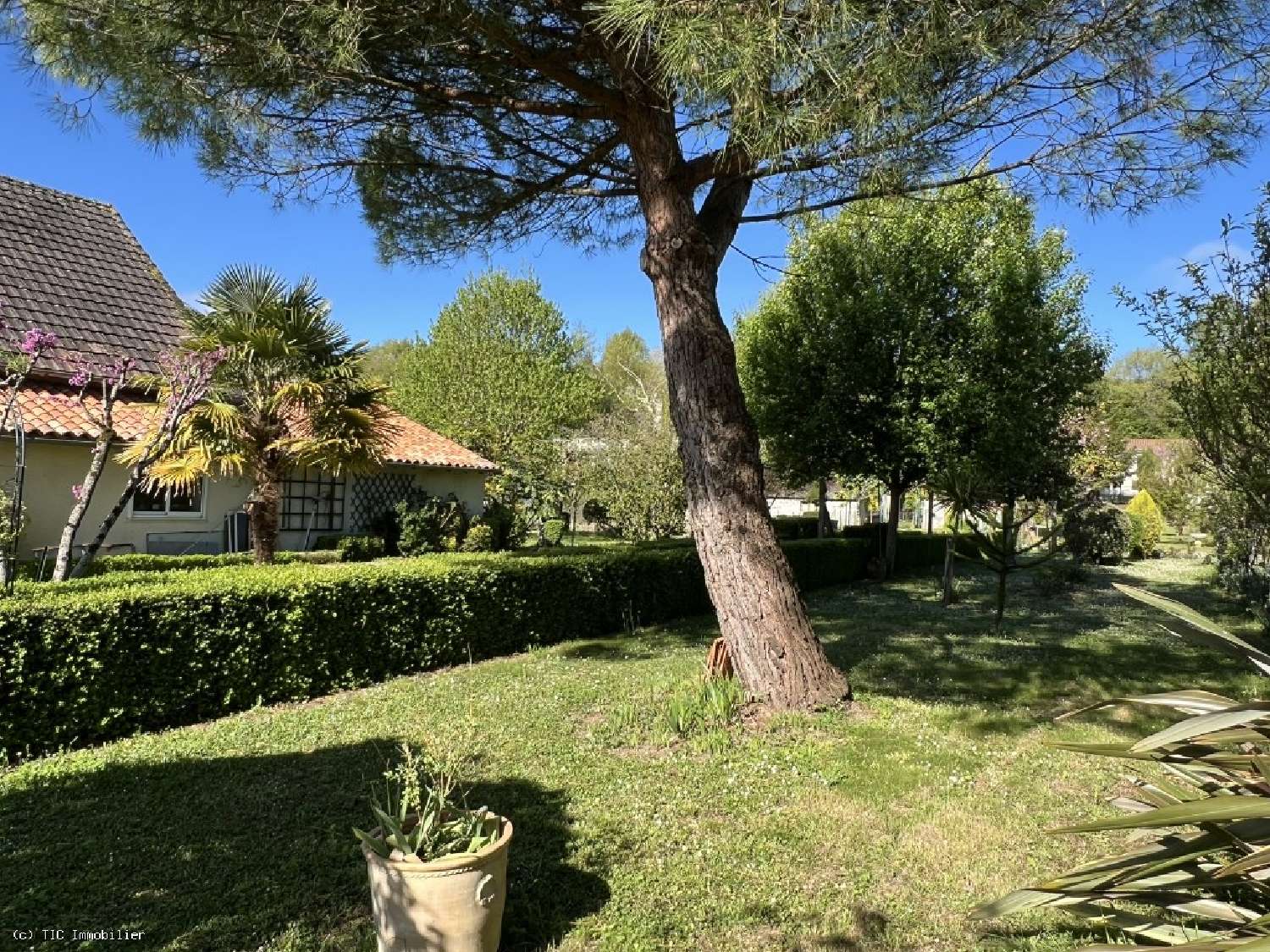  for sale house Lizant Vienne 4