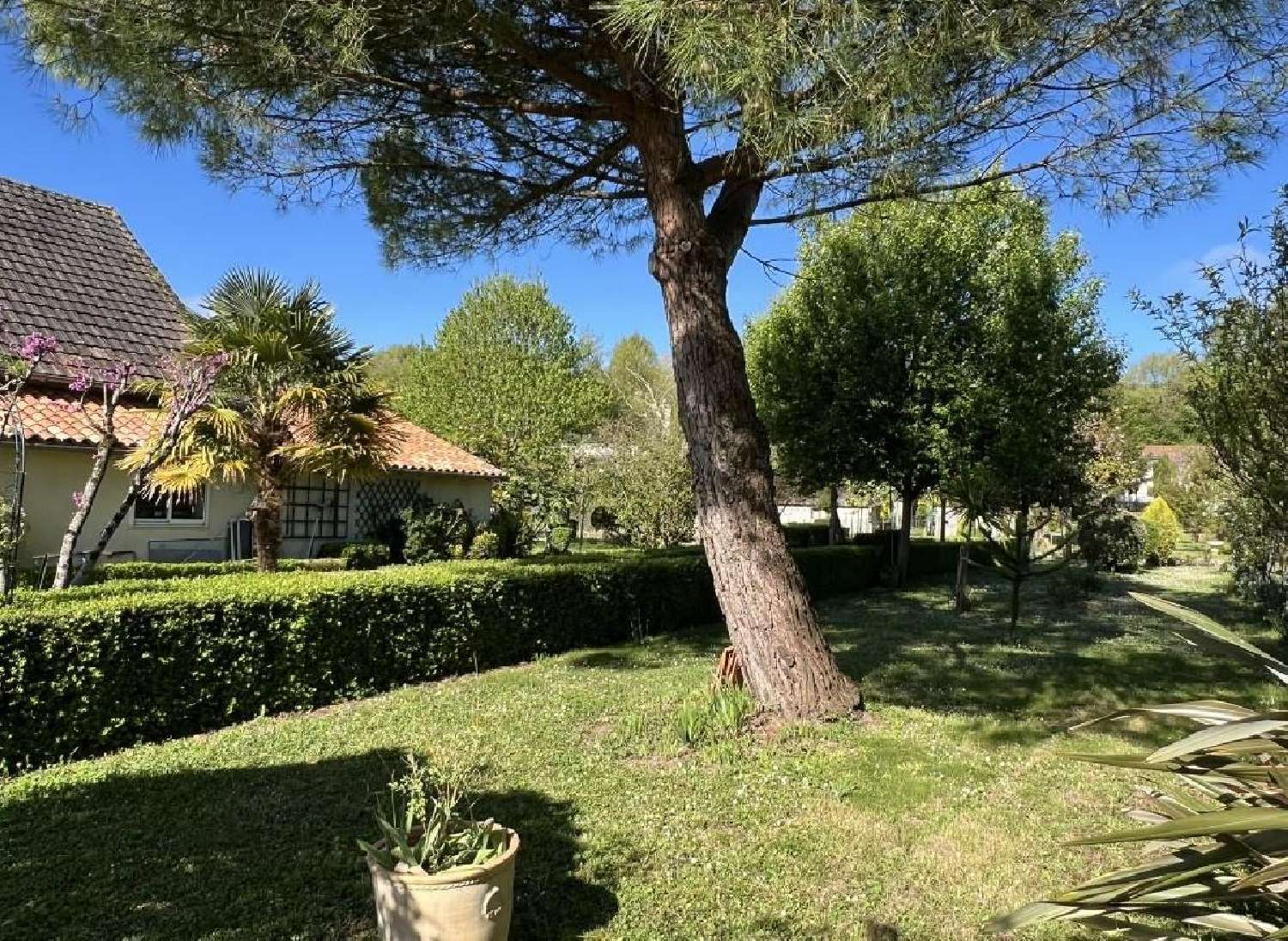  te koop huis Lizant Vienne 4