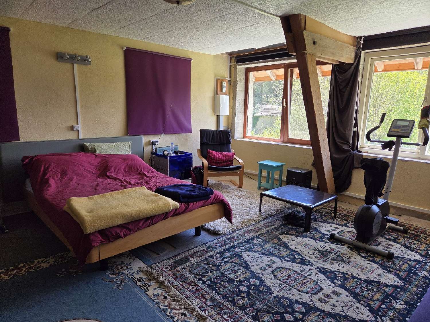  te koop huis Loddes Allier 4