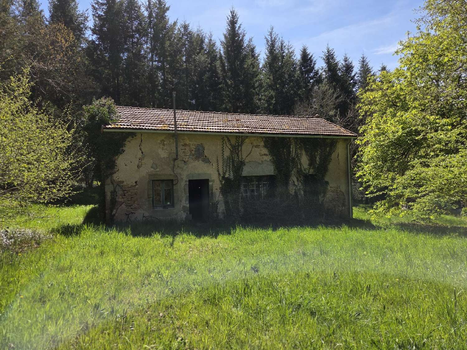  te koop huis Loddes Allier 6