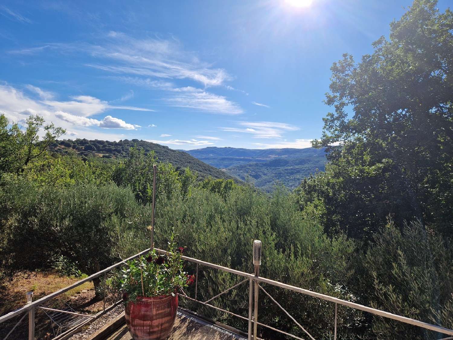  for sale house Lodève Hérault 1
