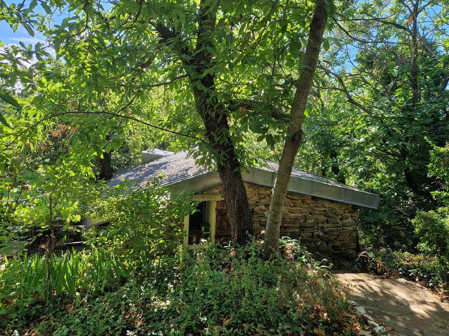  for sale house Lodève Hérault 7