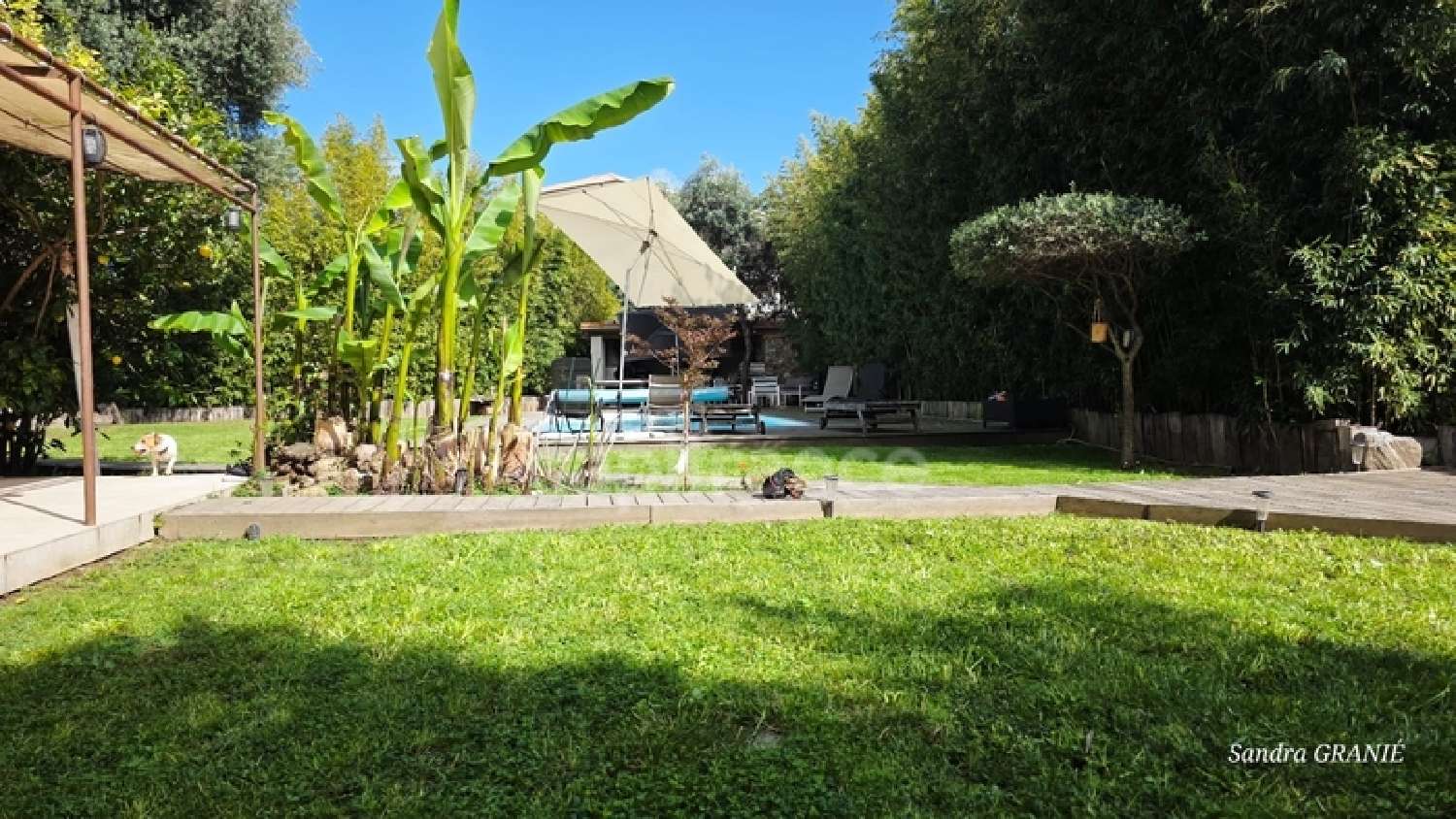  à vendre maison Lucciana Haute-Corse 4