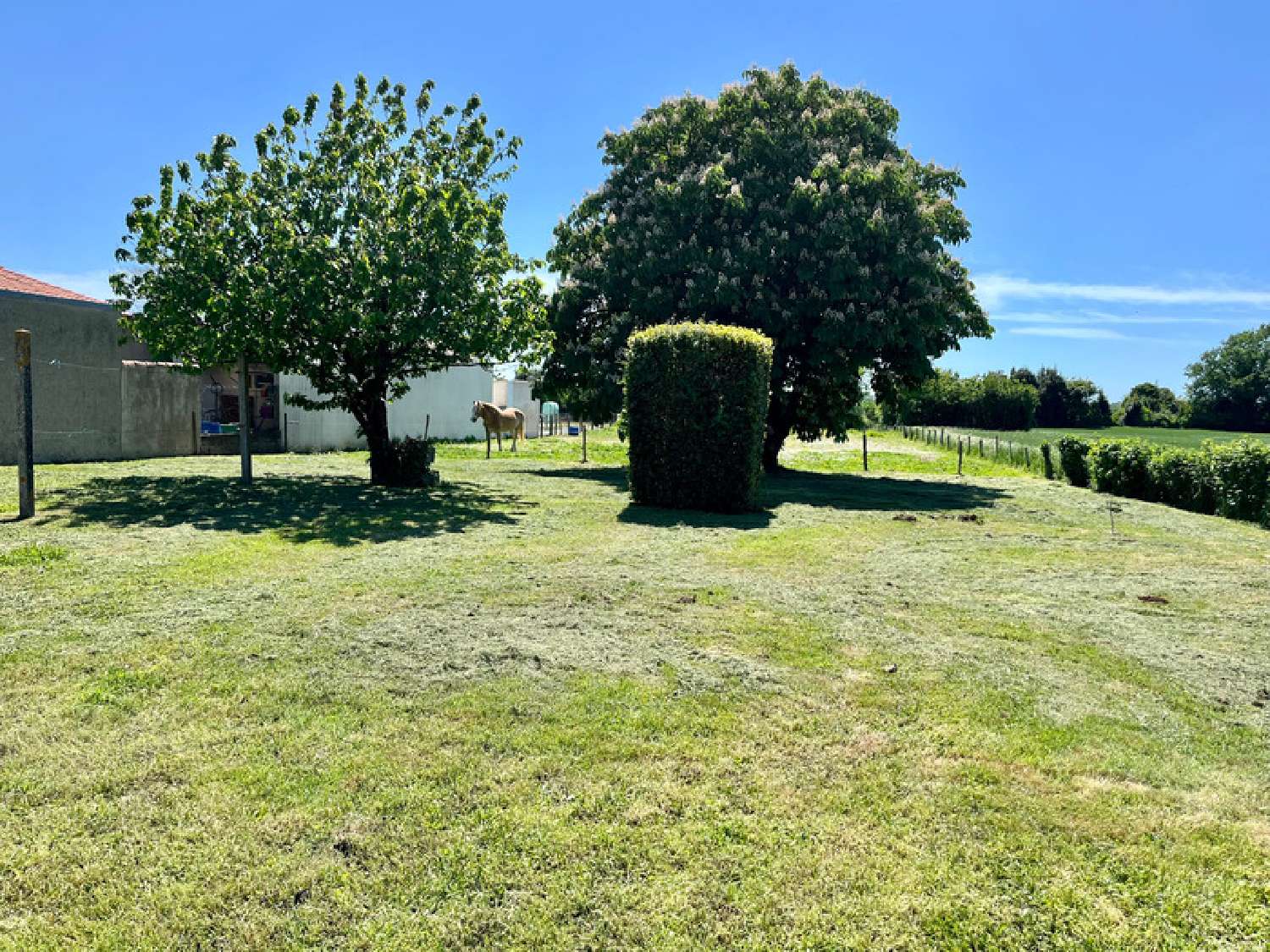  en venta casa Luçon Vendée 3