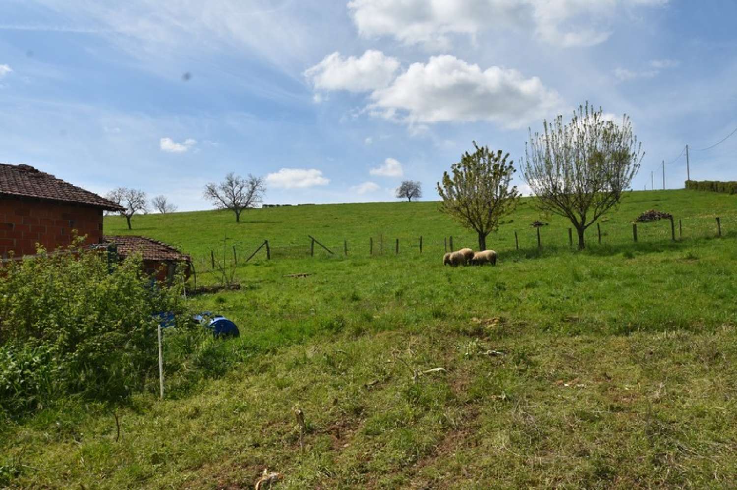  te koop huis Maizilly Loire 3
