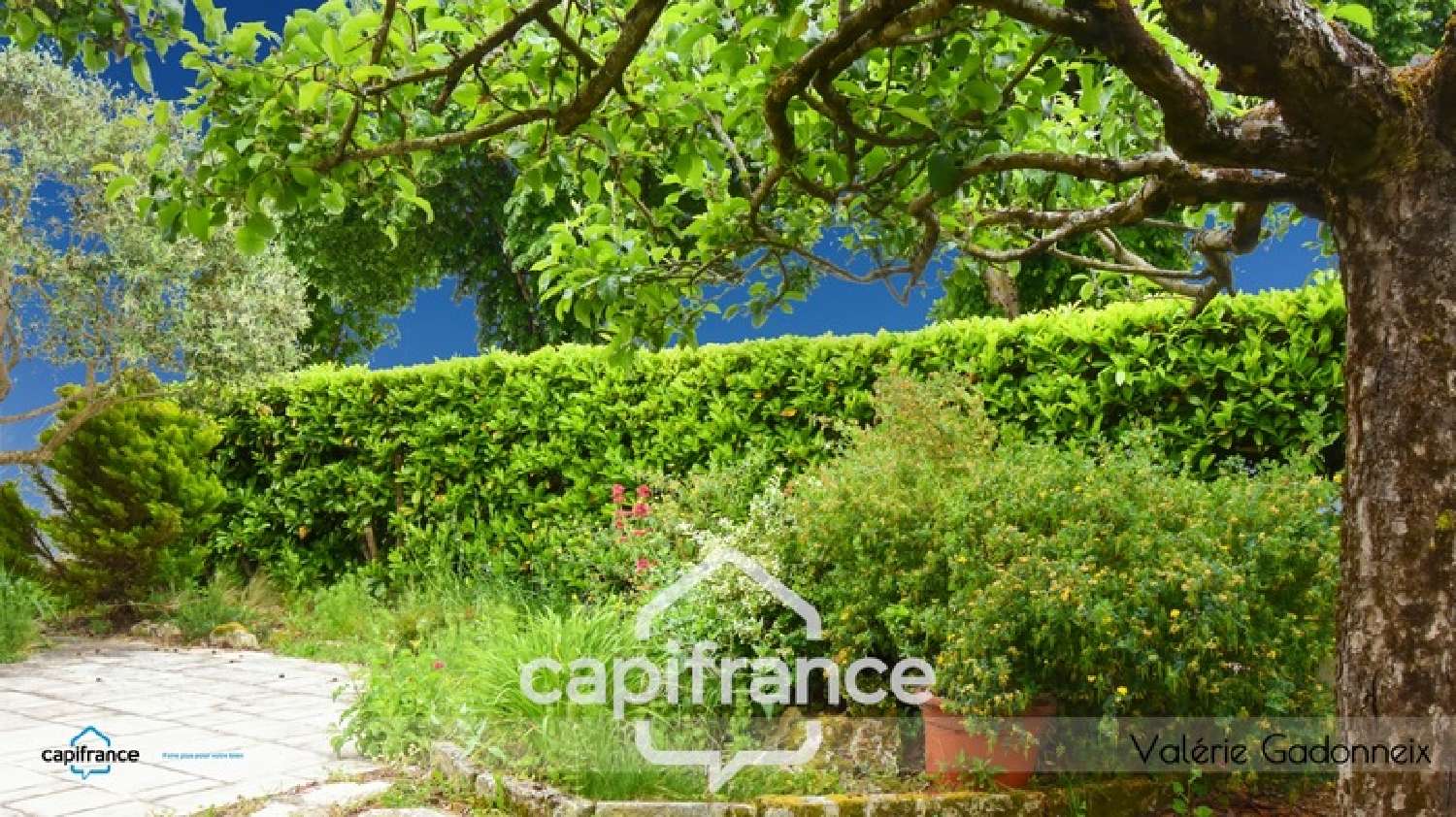  for sale house Marennes Charente-Maritime 6