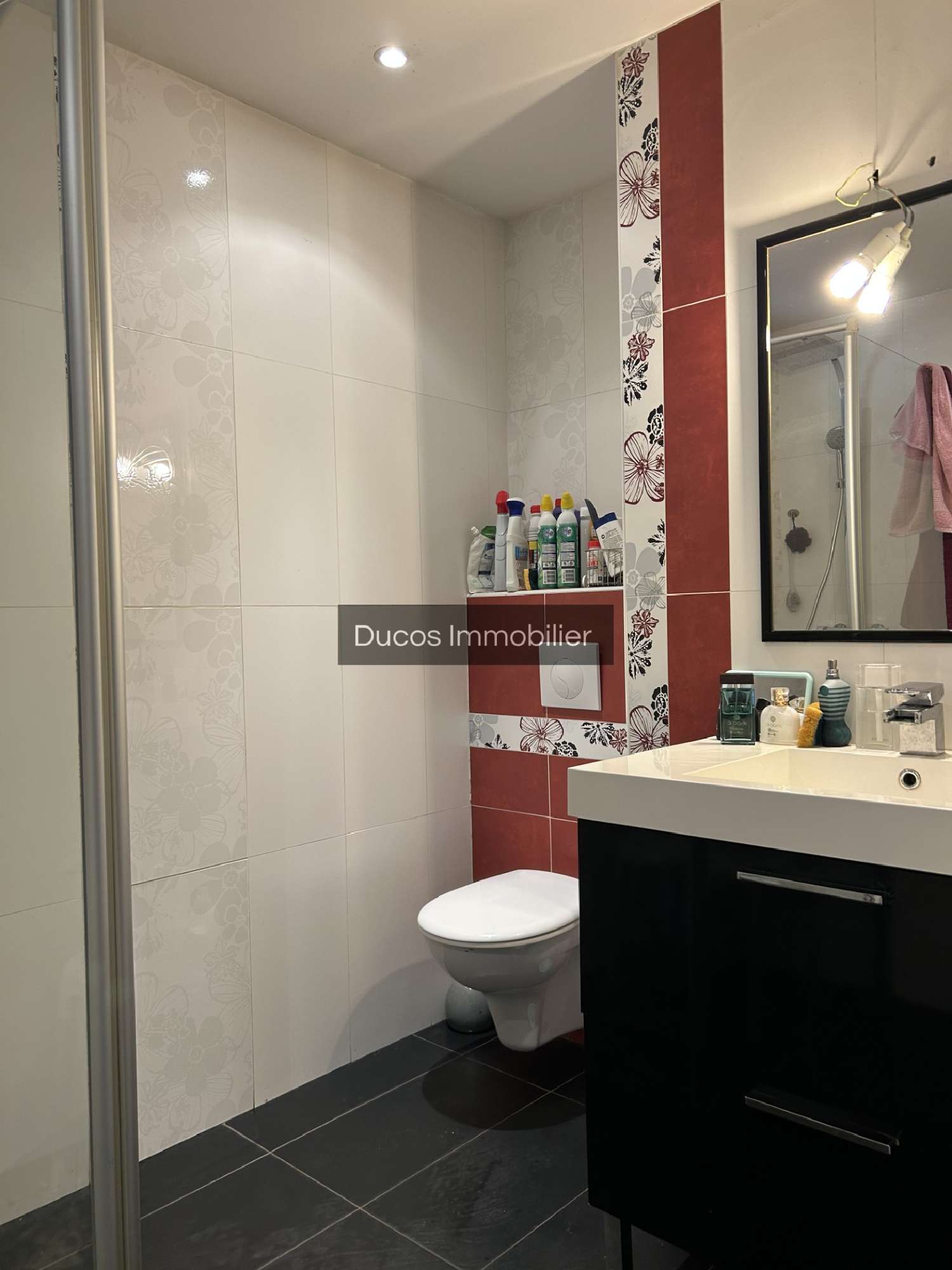  for sale house Marmande Lot-et-Garonne 8