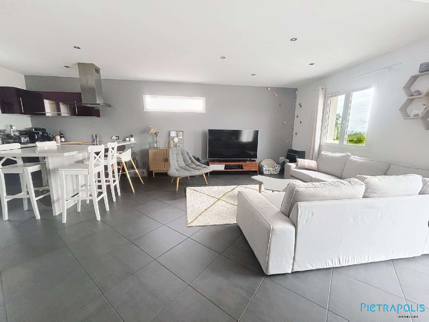  te koop huis Massieux Ain 6