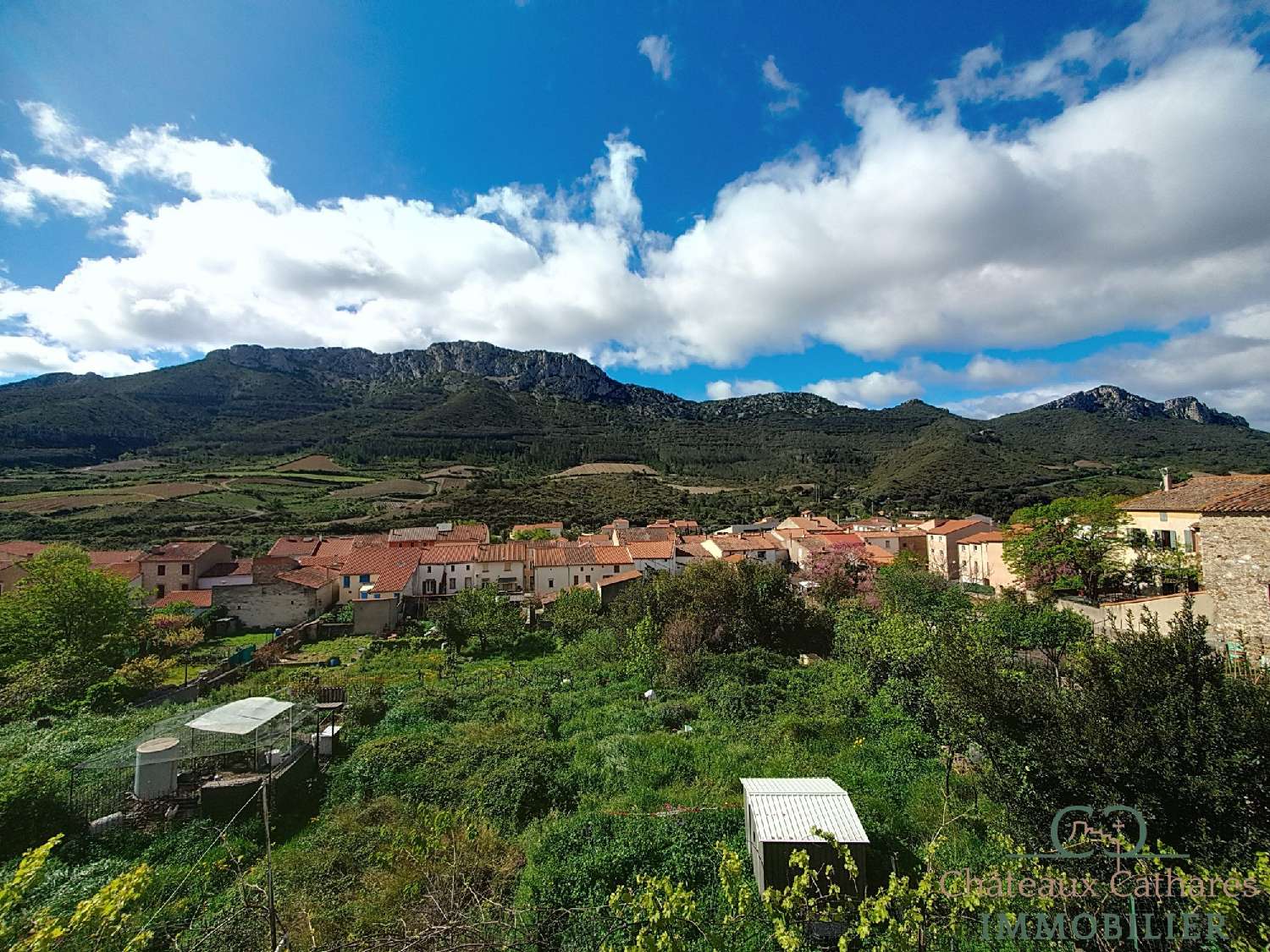  kaufen Haus Maury Pyrénées-Orientales 3