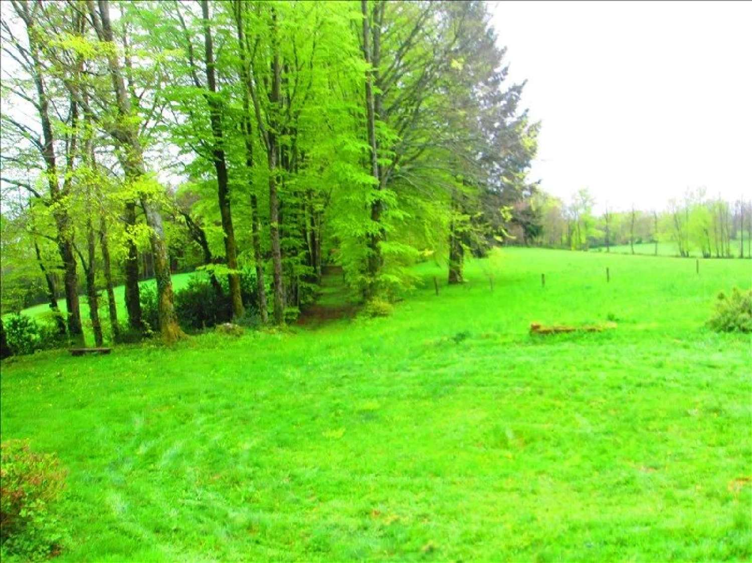  à vendre maison Mazamet Tarn 5