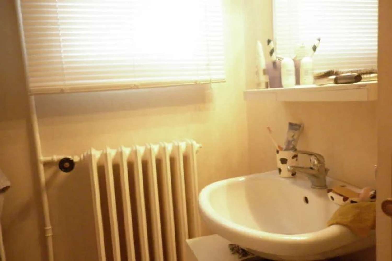  à vendre maison Mazamet Tarn 4