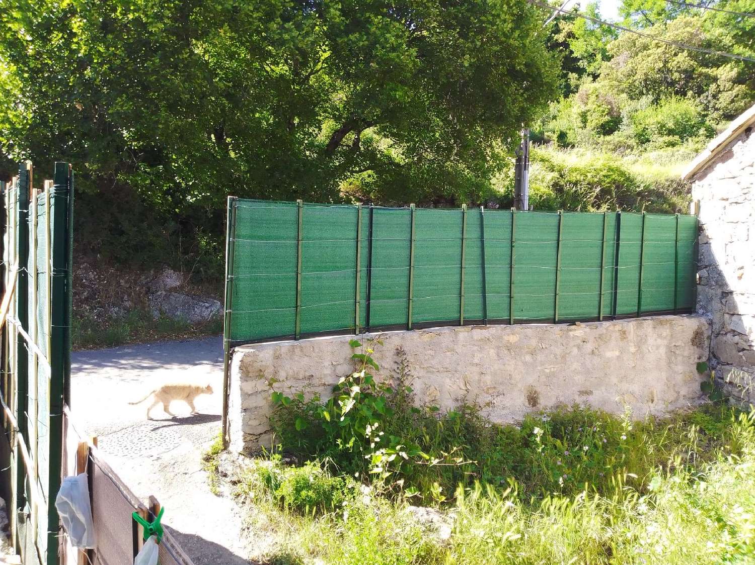  te koop huis Minerve Hérault 3