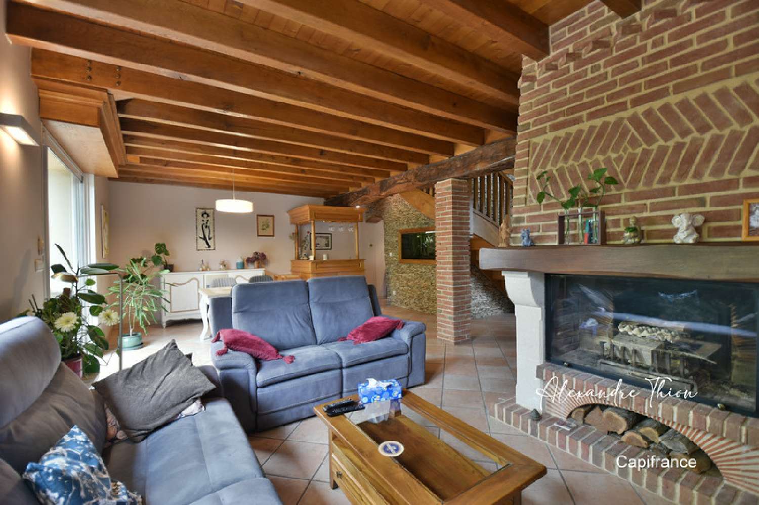  en venta casa Mionnay Ain 3