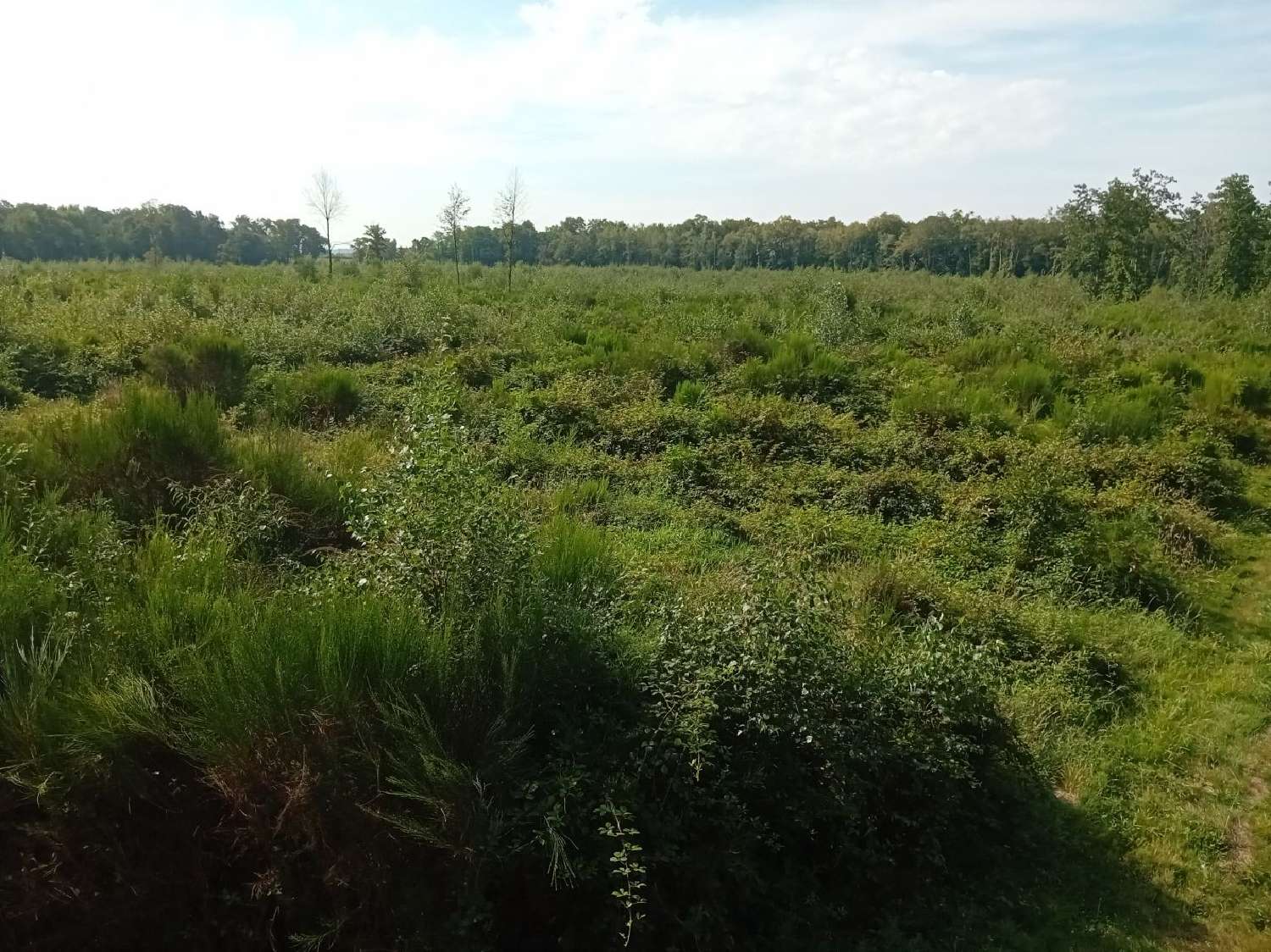  te koop huis Mionnay Ain 5