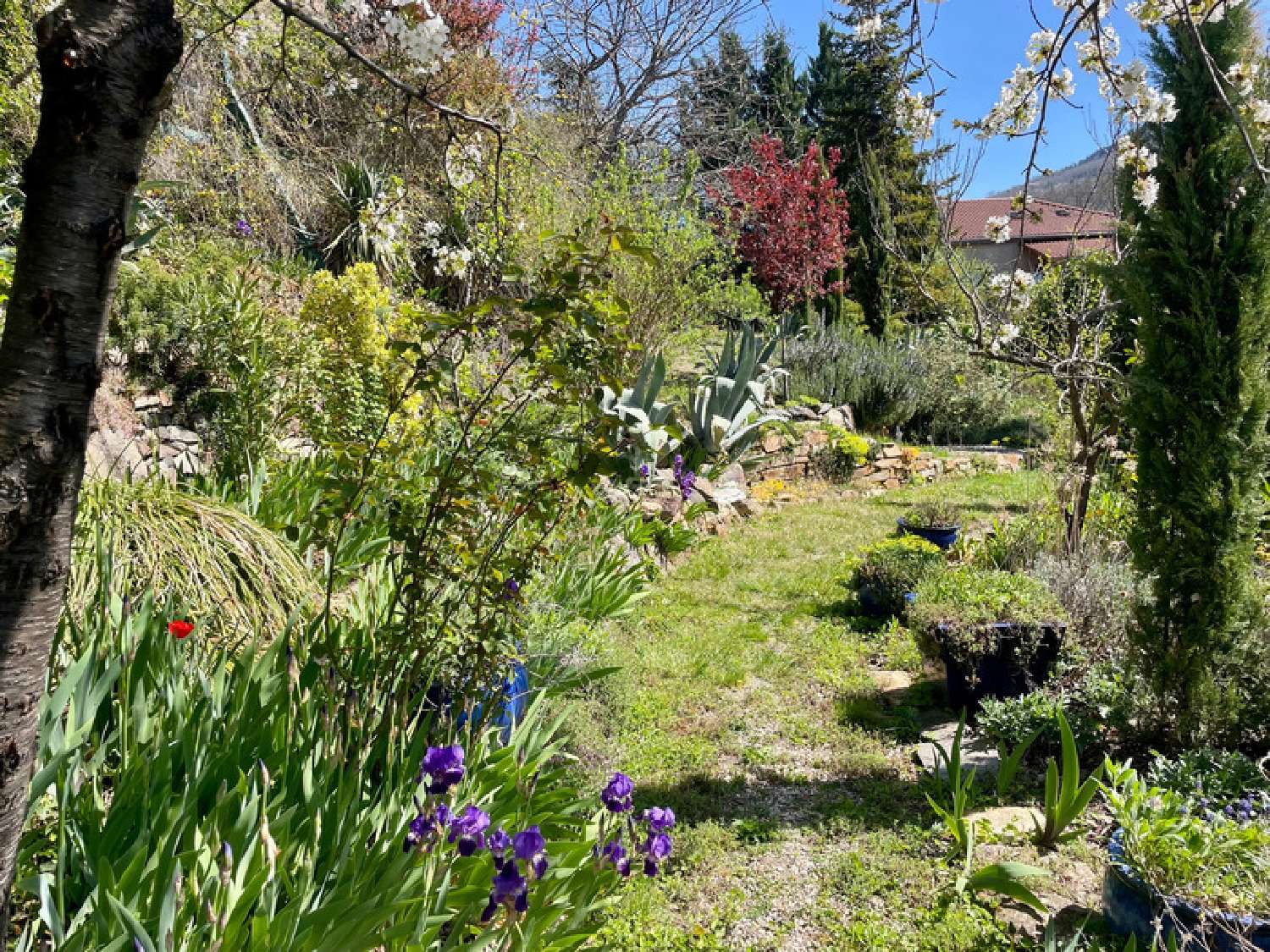  te koop huis Mirefleurs Puy-de-Dôme 2
