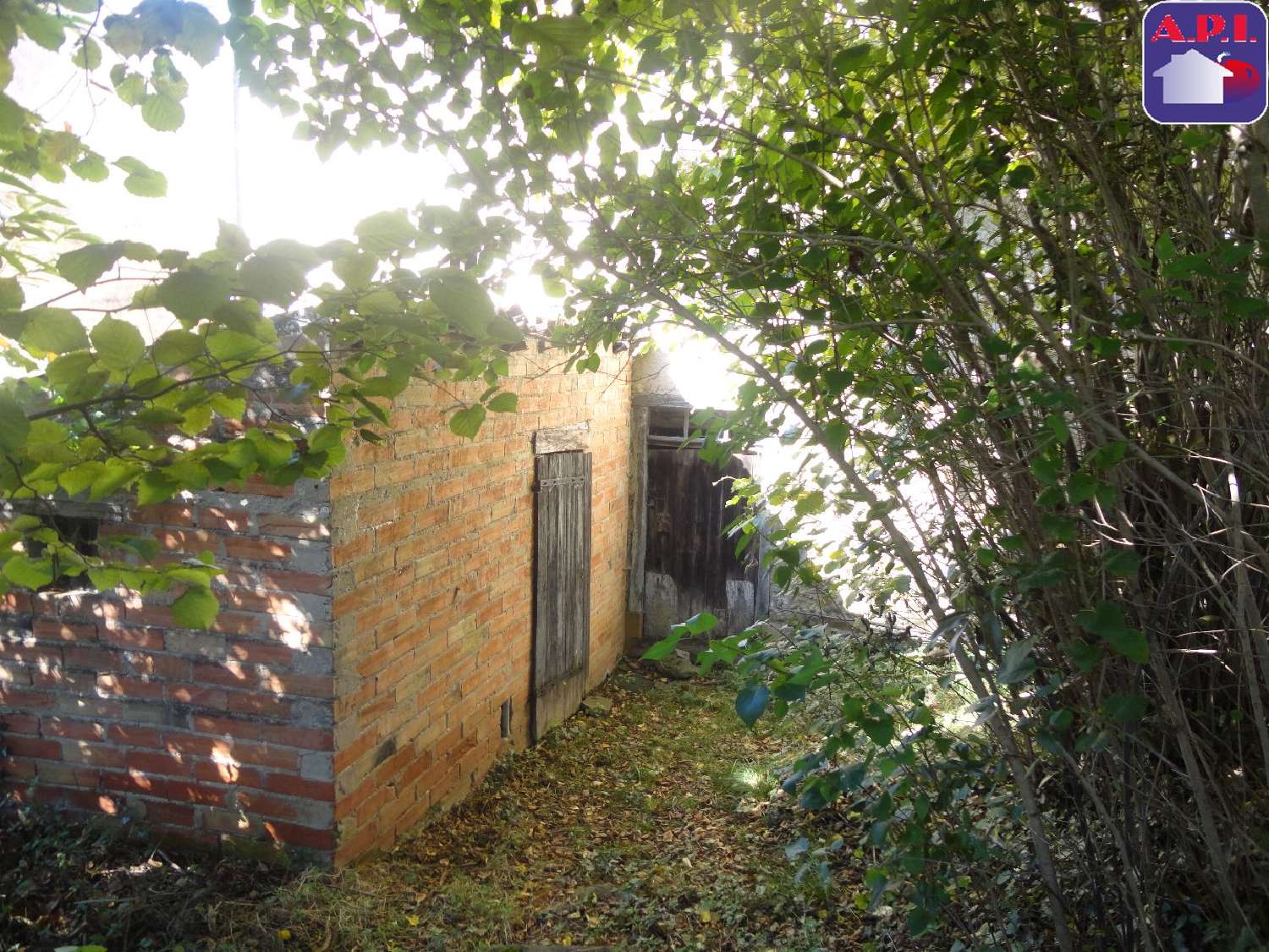  à vendre maison Mirepoix Ariège 5