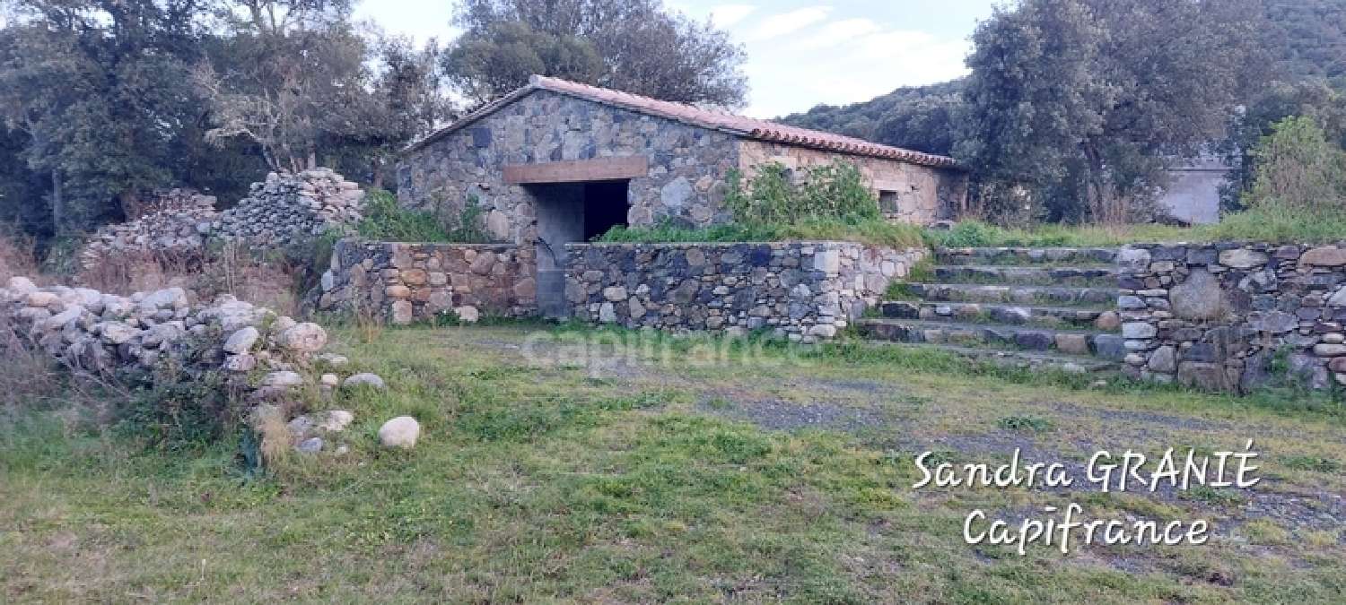  à vendre maison Moltifao Haute-Corse 1