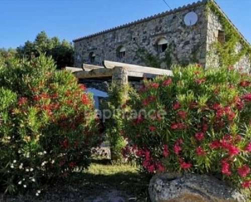 Moltifao Haute-Corse house foto 7064260