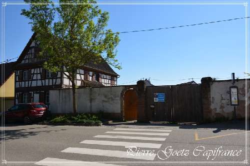 Mommenheim Bas-Rhin Haus Bild 7066739