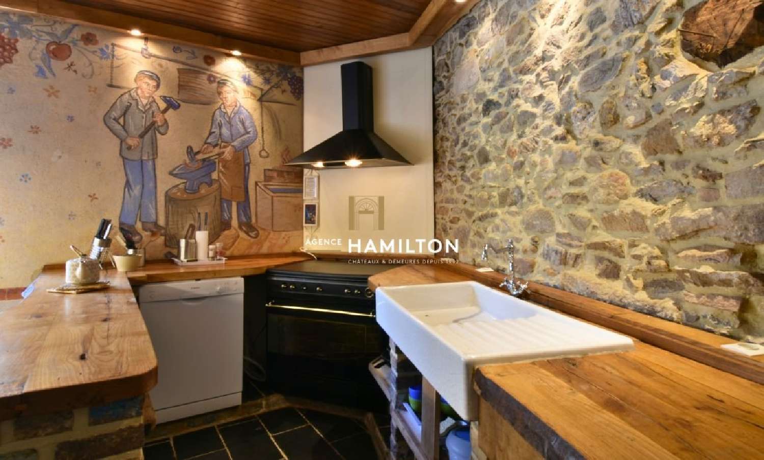  te koop huis Monestiès Tarn 6