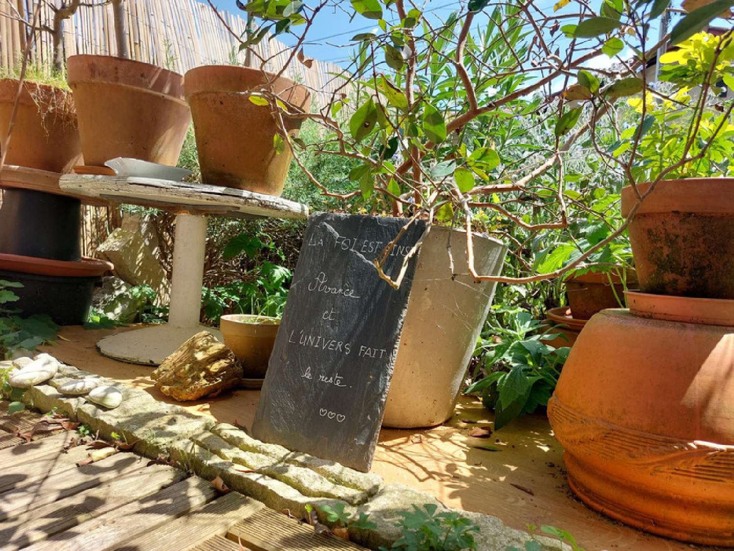  à vendre maison Montauban Tarn-et-Garonne 2