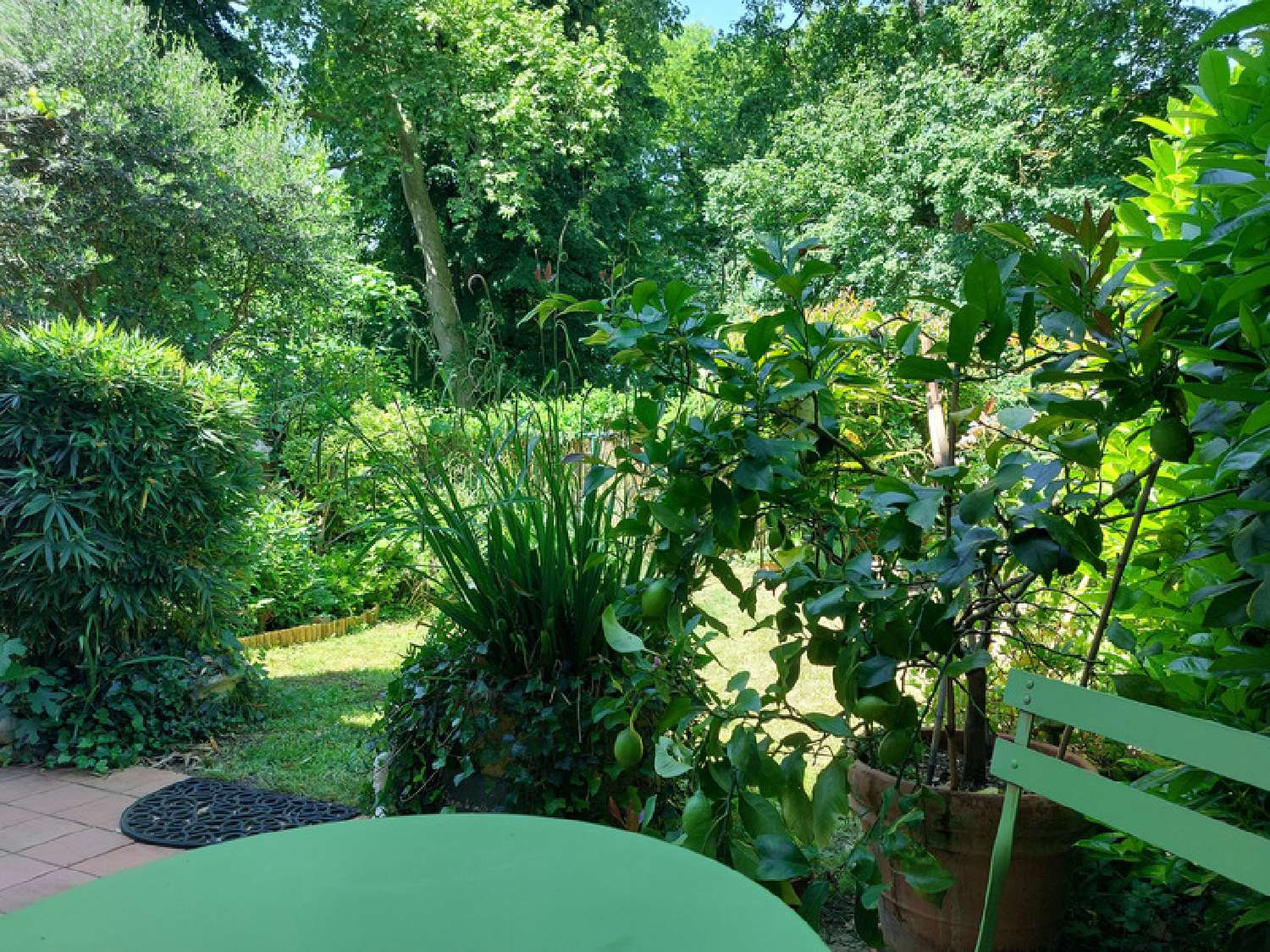  à vendre maison Montauban Tarn-et-Garonne 4