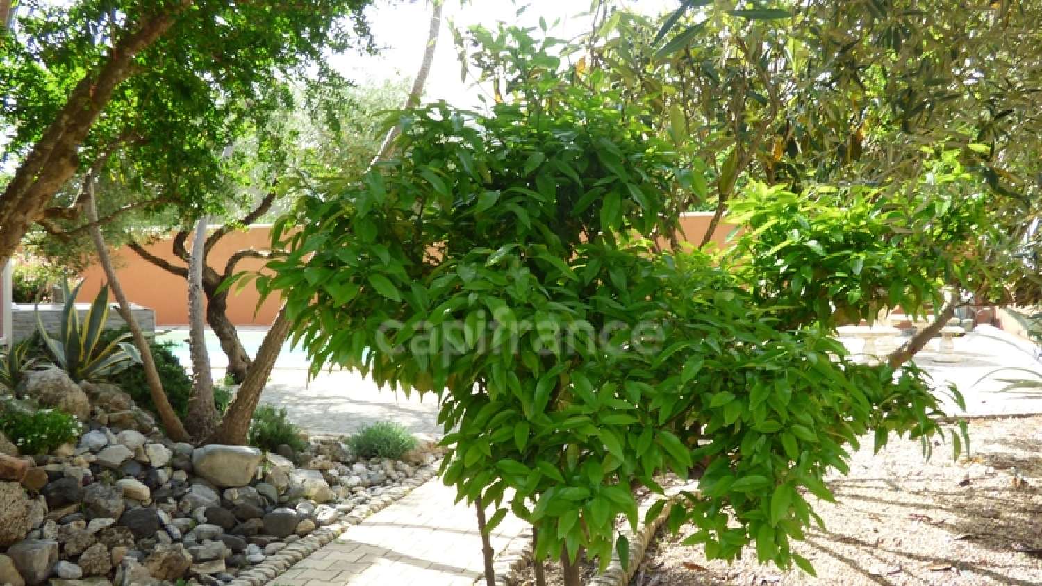 te koop huis Montélimar Drôme 3