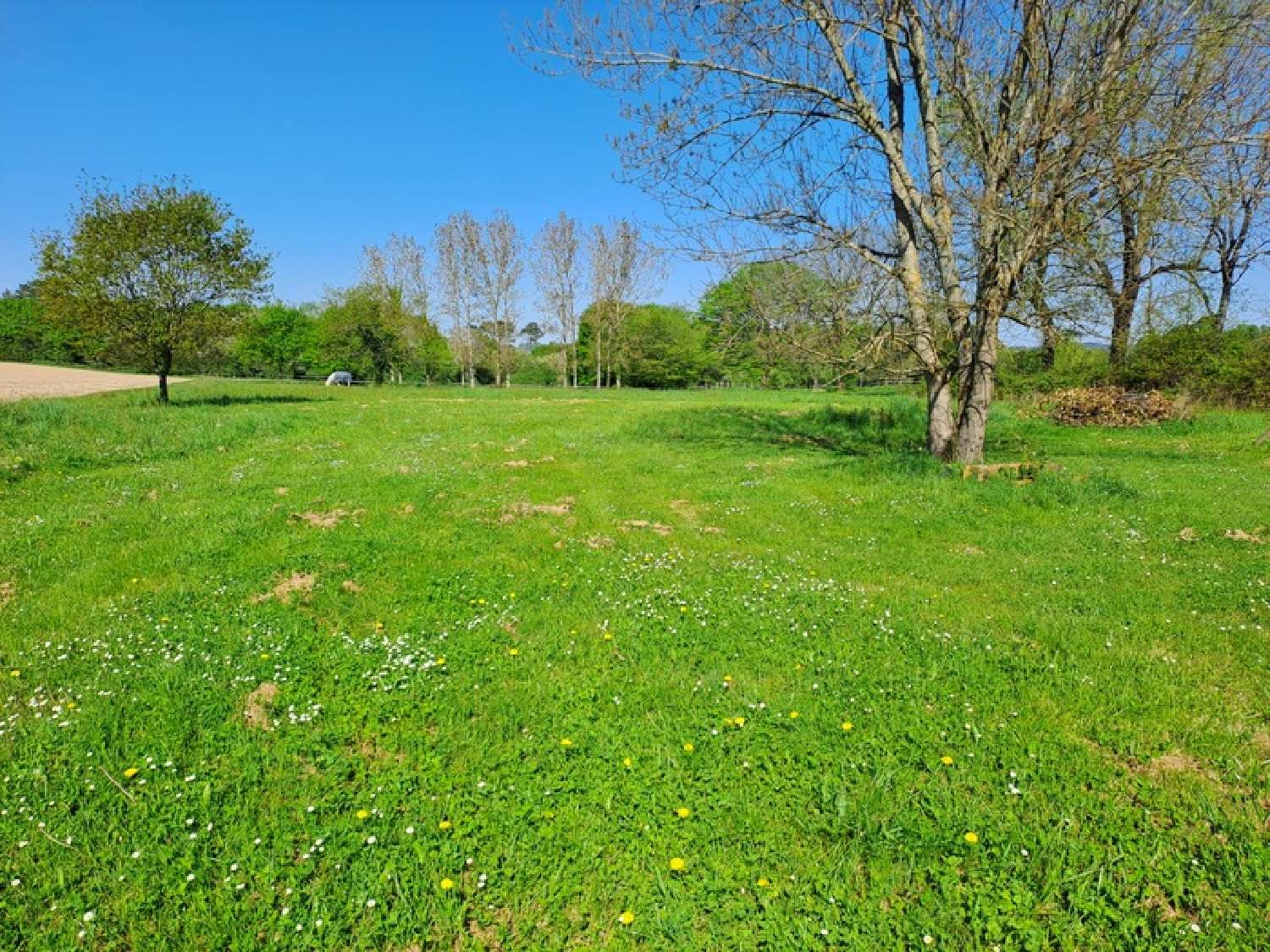  kaufen Haus Montendre Charente-Maritime 3