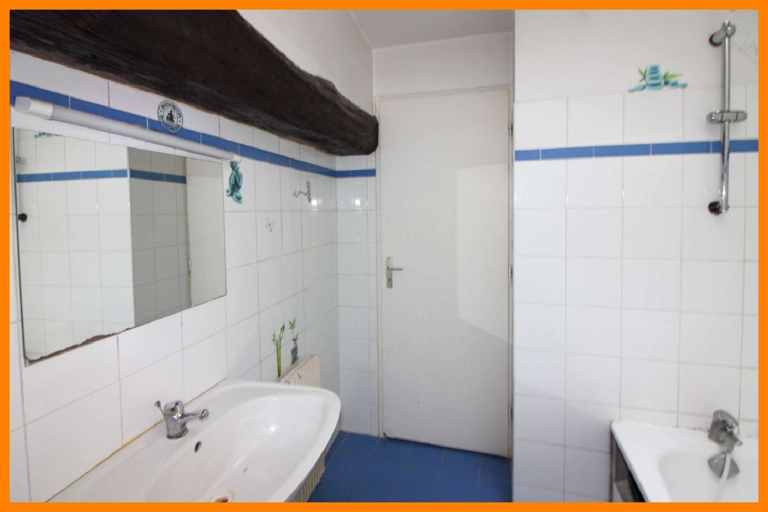  à vendre maison Montluel Ain 5