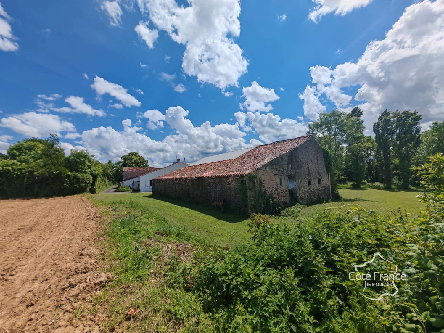  te koop huis Mouilleron-en-Pareds Vendée 7