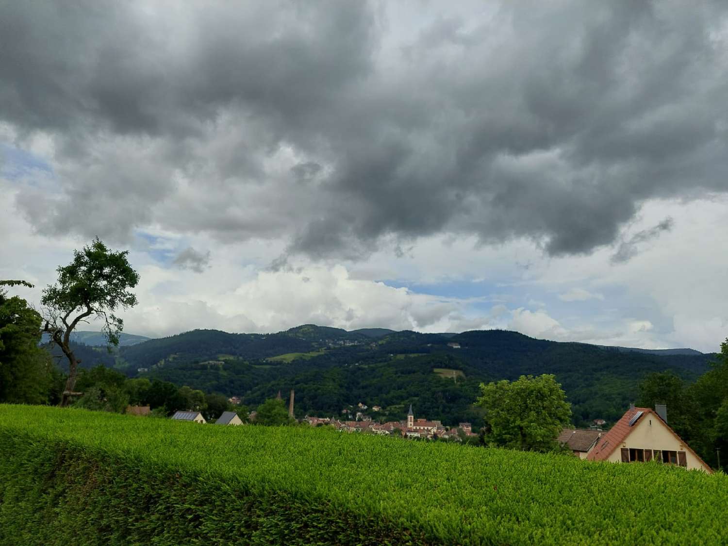  te koop huis Munster Haut-Rhin 3