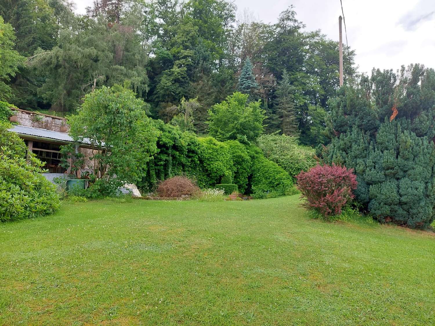  te koop huis Munster Haut-Rhin 5