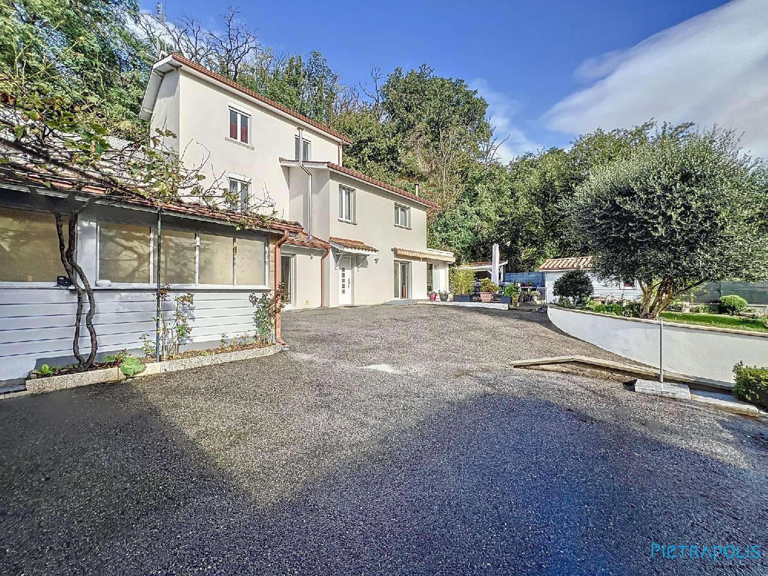  te koop huis Neuville-sur-Saône Rhône 1