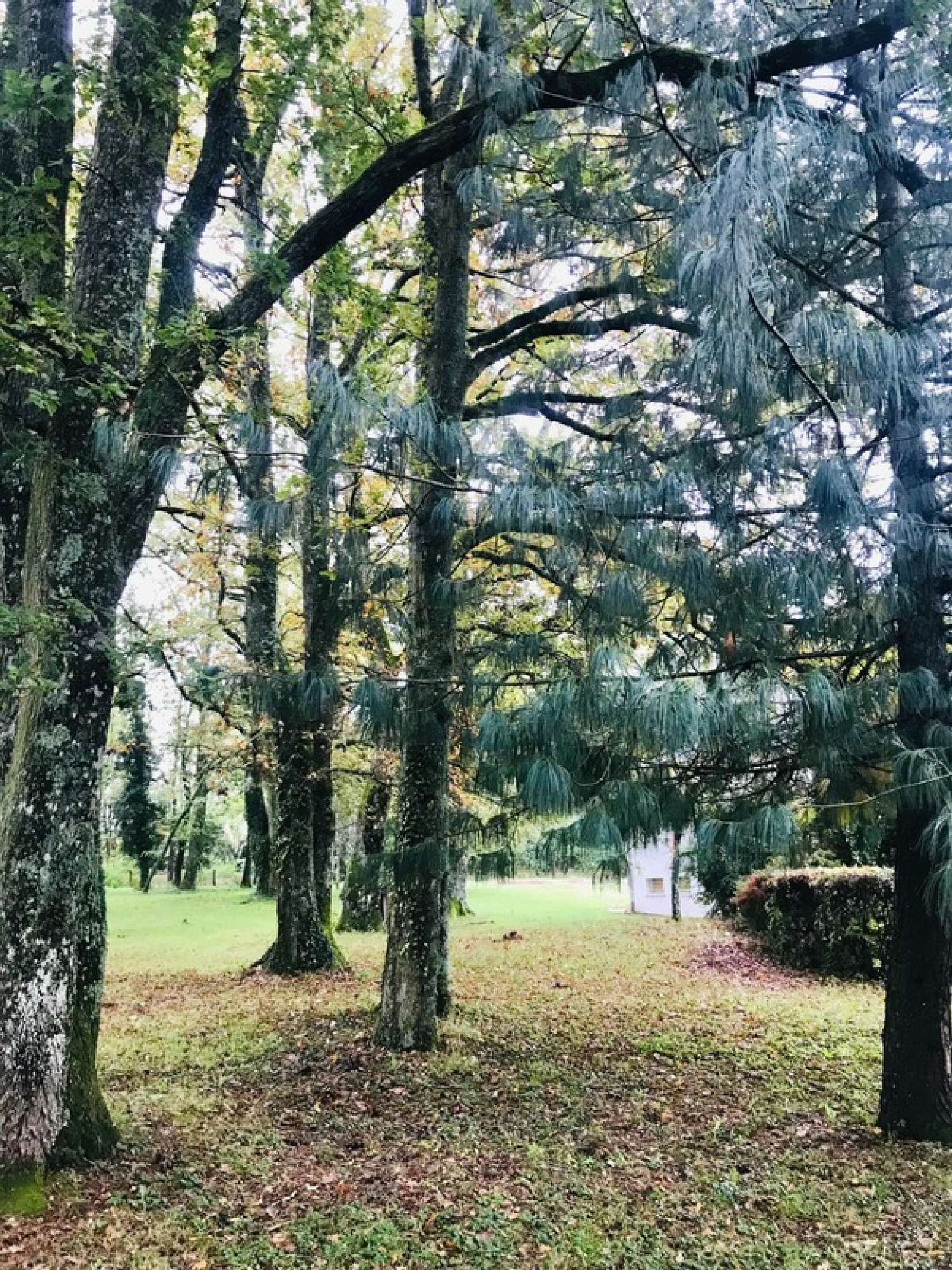  en venta casa Nevers Nièvre 7