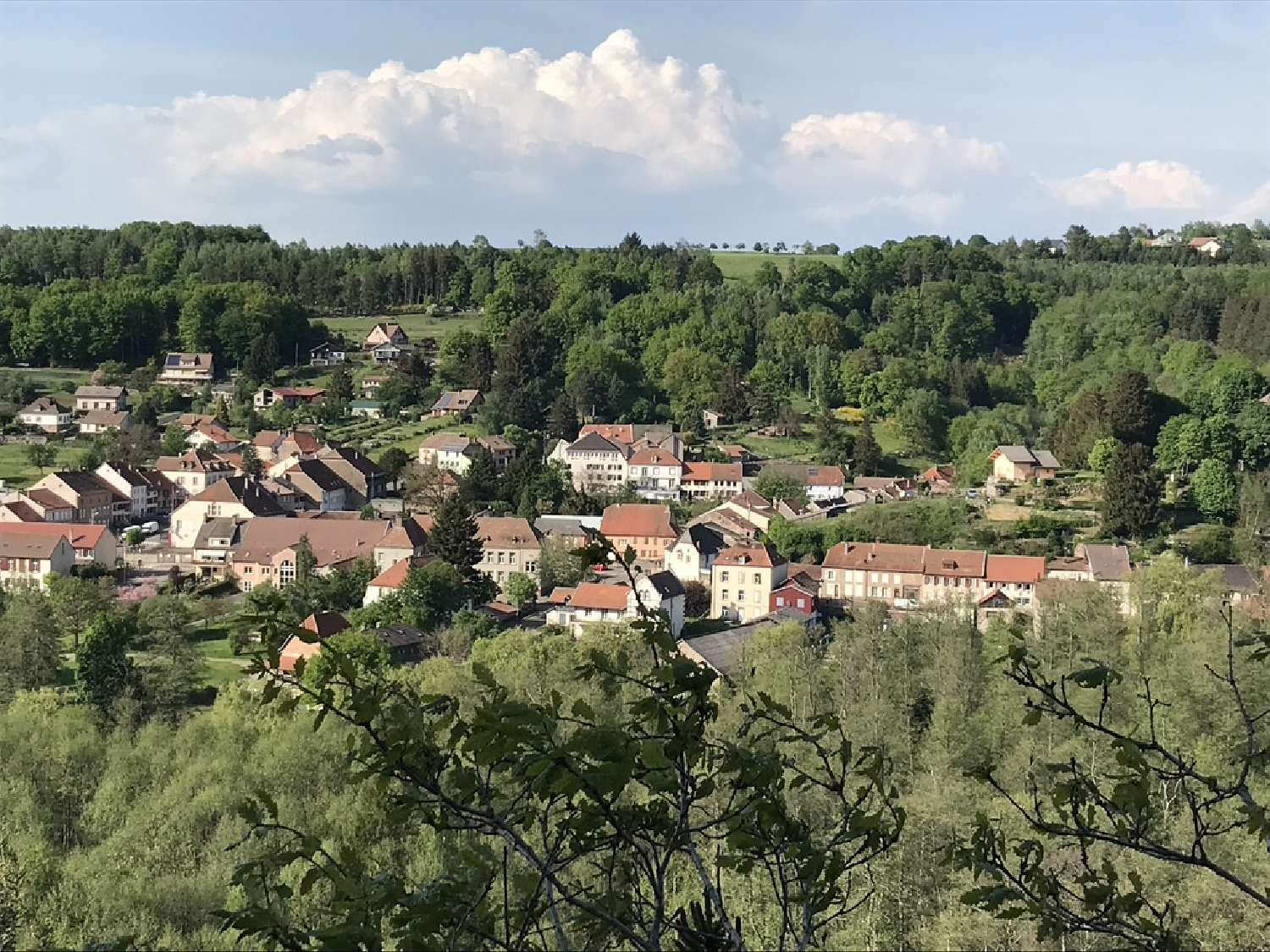  kaufen Haus Niderhoff Moselle 6