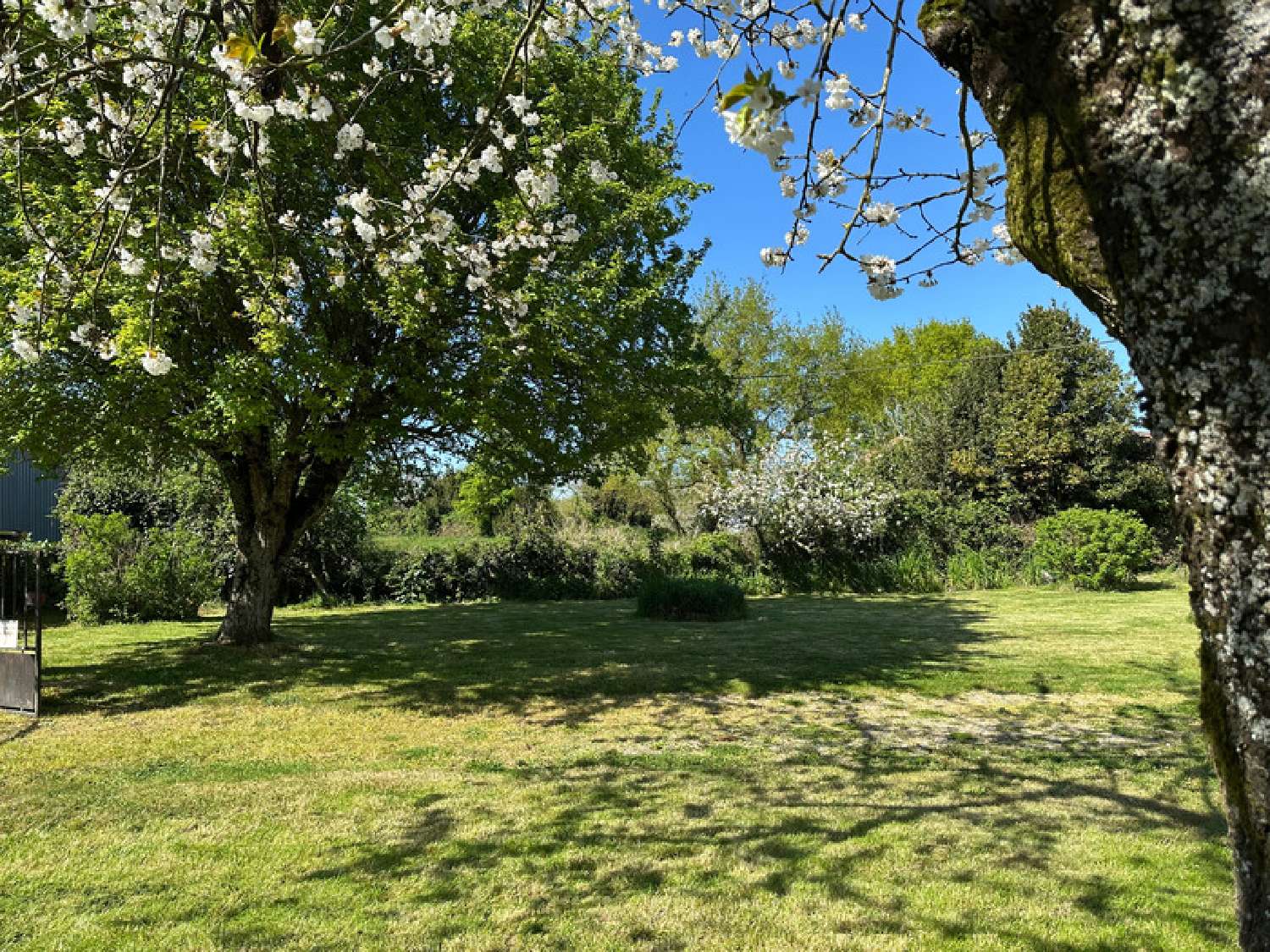  te koop huis Nieul-le-Dolent Vendée 2