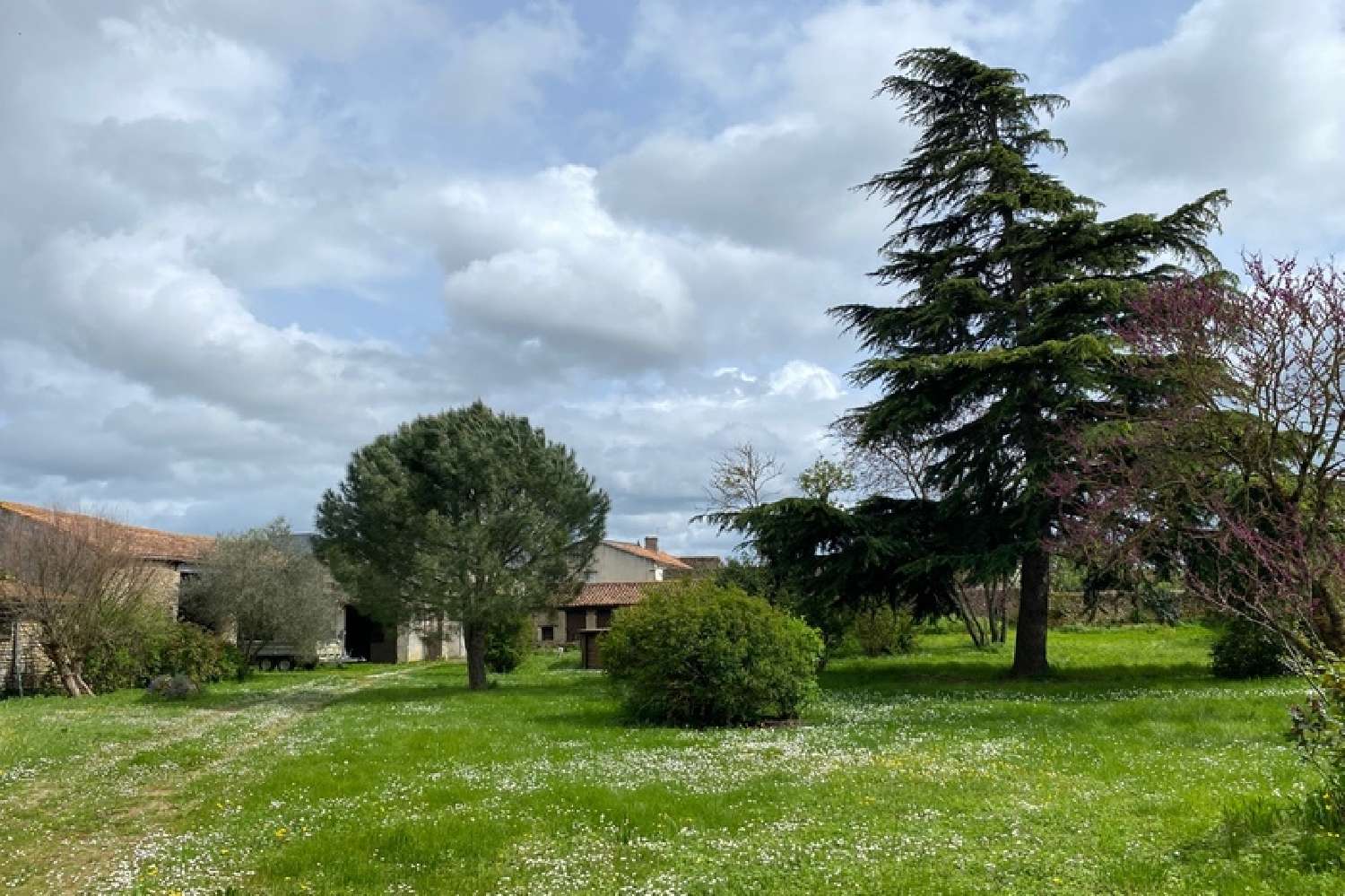  en venta casa Noizé Deux-Sèvres 4
